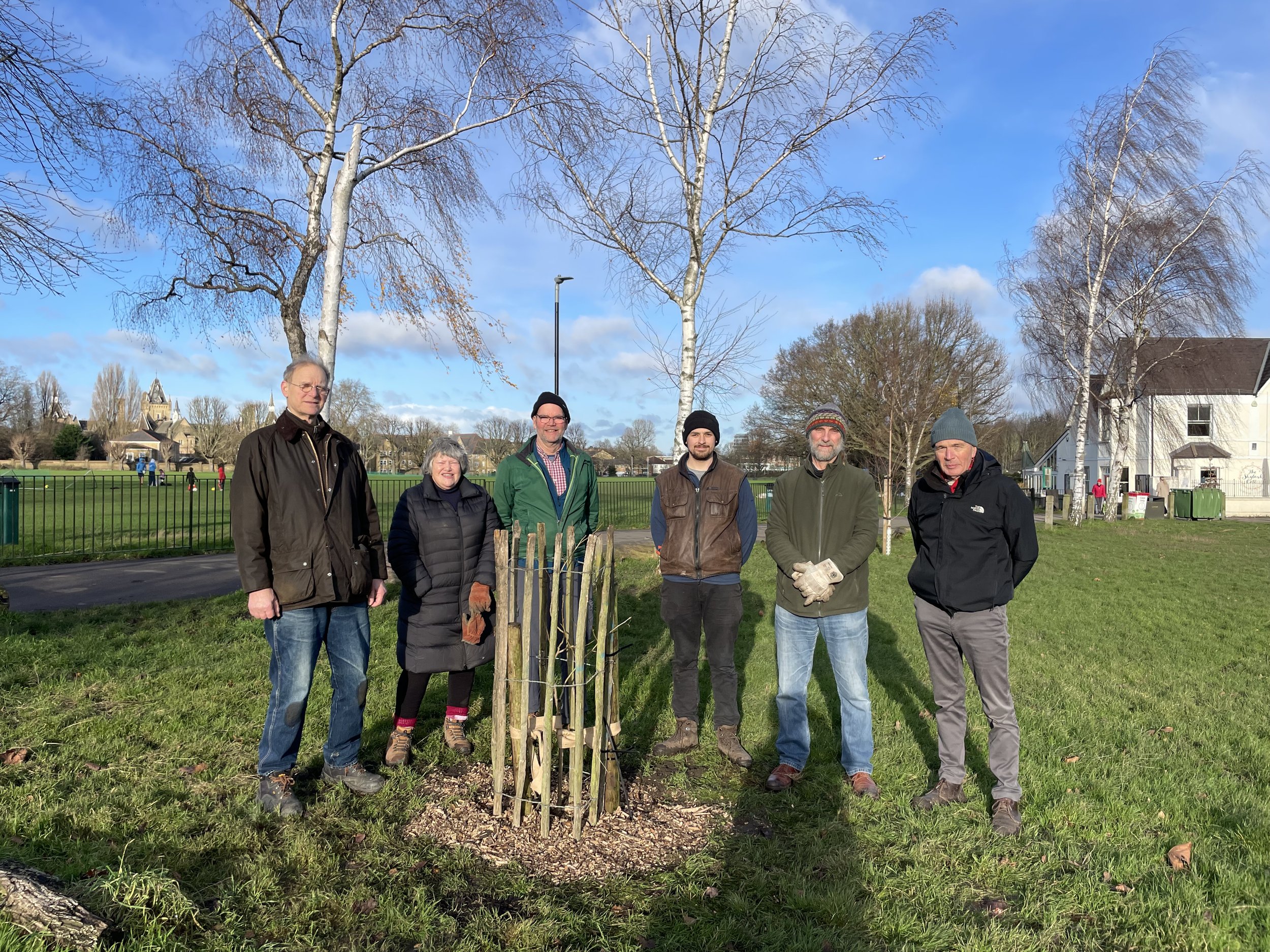 December round-up: Three black poplars &amp; a Water Rail