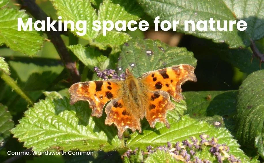 March round-up: Making space for nature