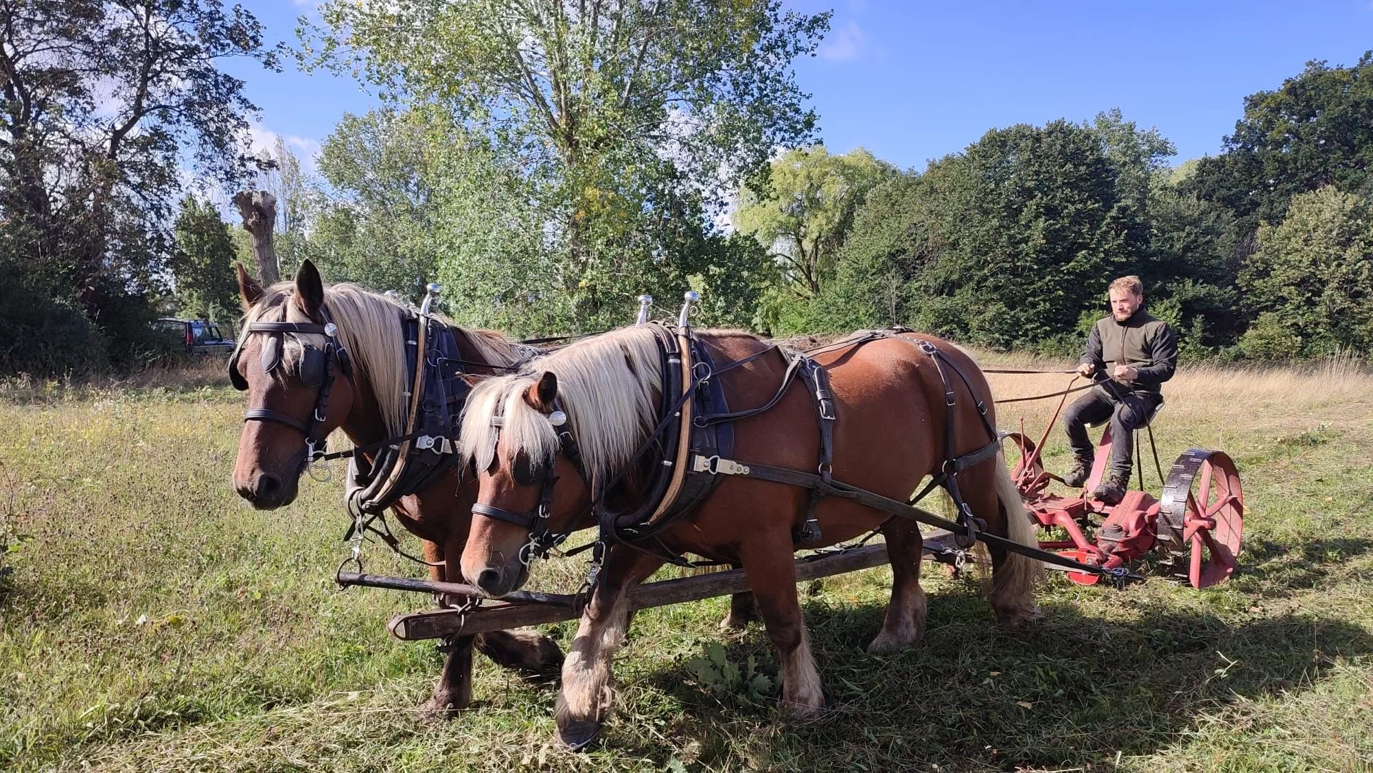 September round-up: Sustainable September