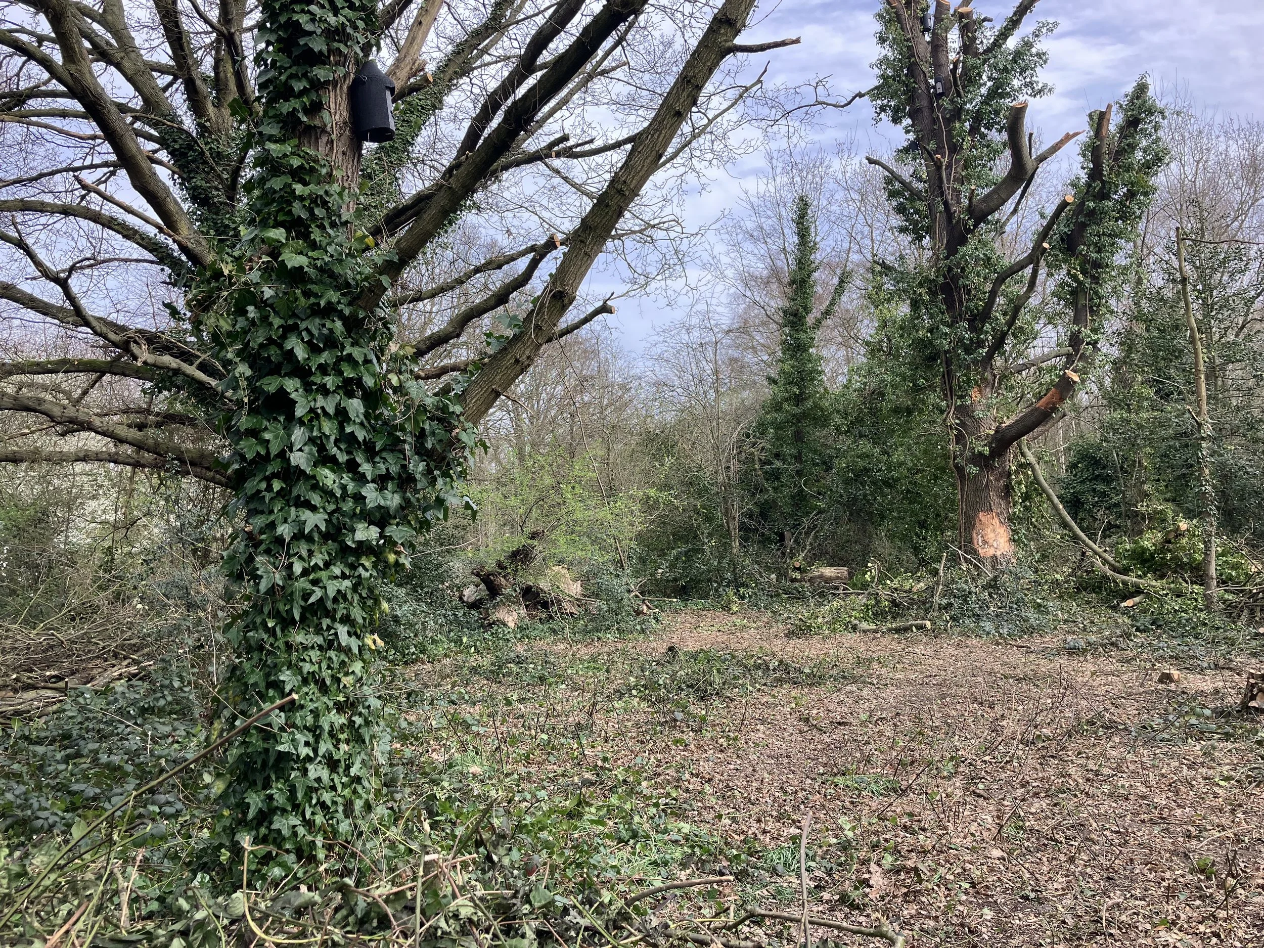 March round-up: New glade on the Scope