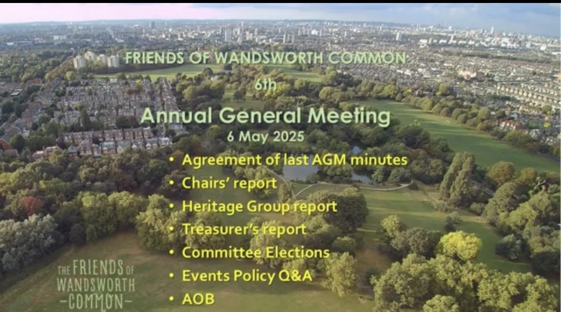May round-up: Bats about the AGM