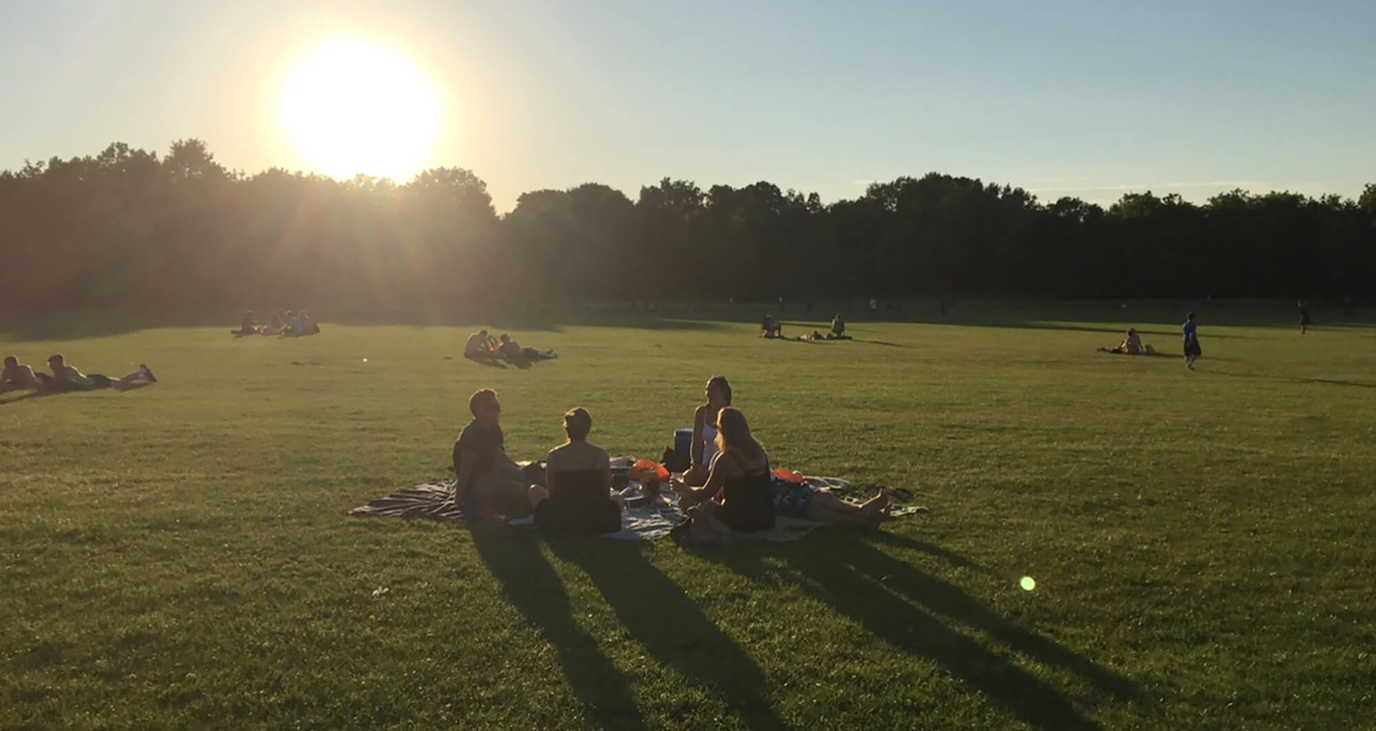Wandsworth Picnic