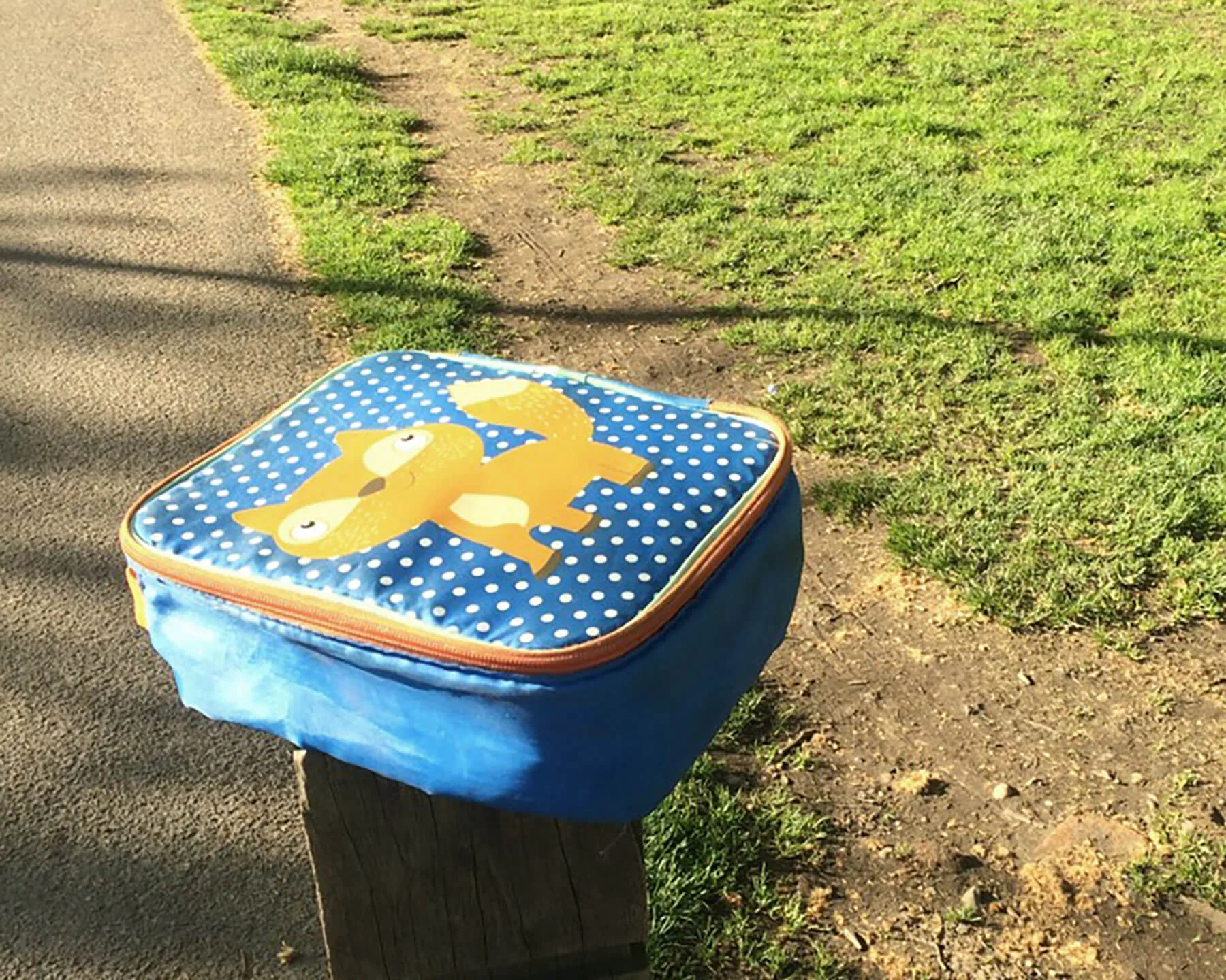 Wandsworth Common Lost Property, Bag