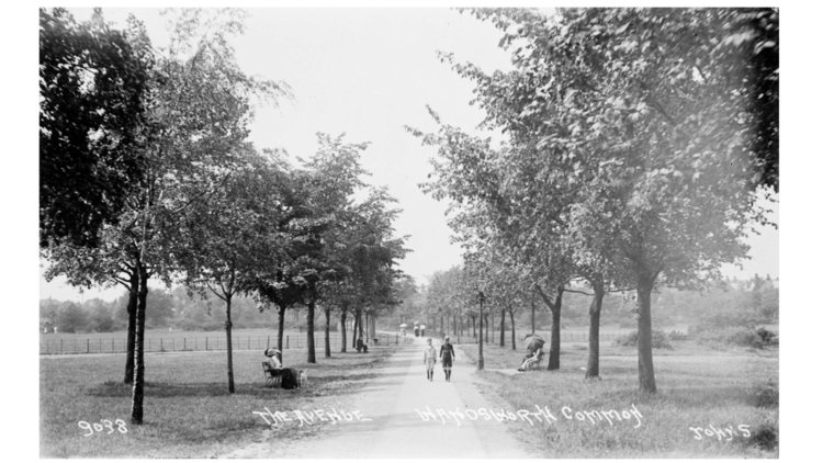 150th Anniversary Tree Planting