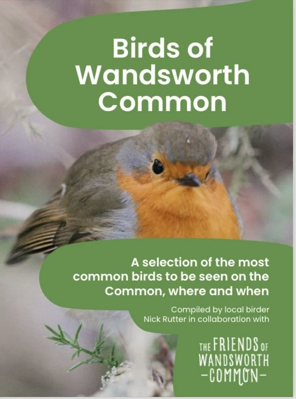 Birds of Wandsworth Common - postage paid