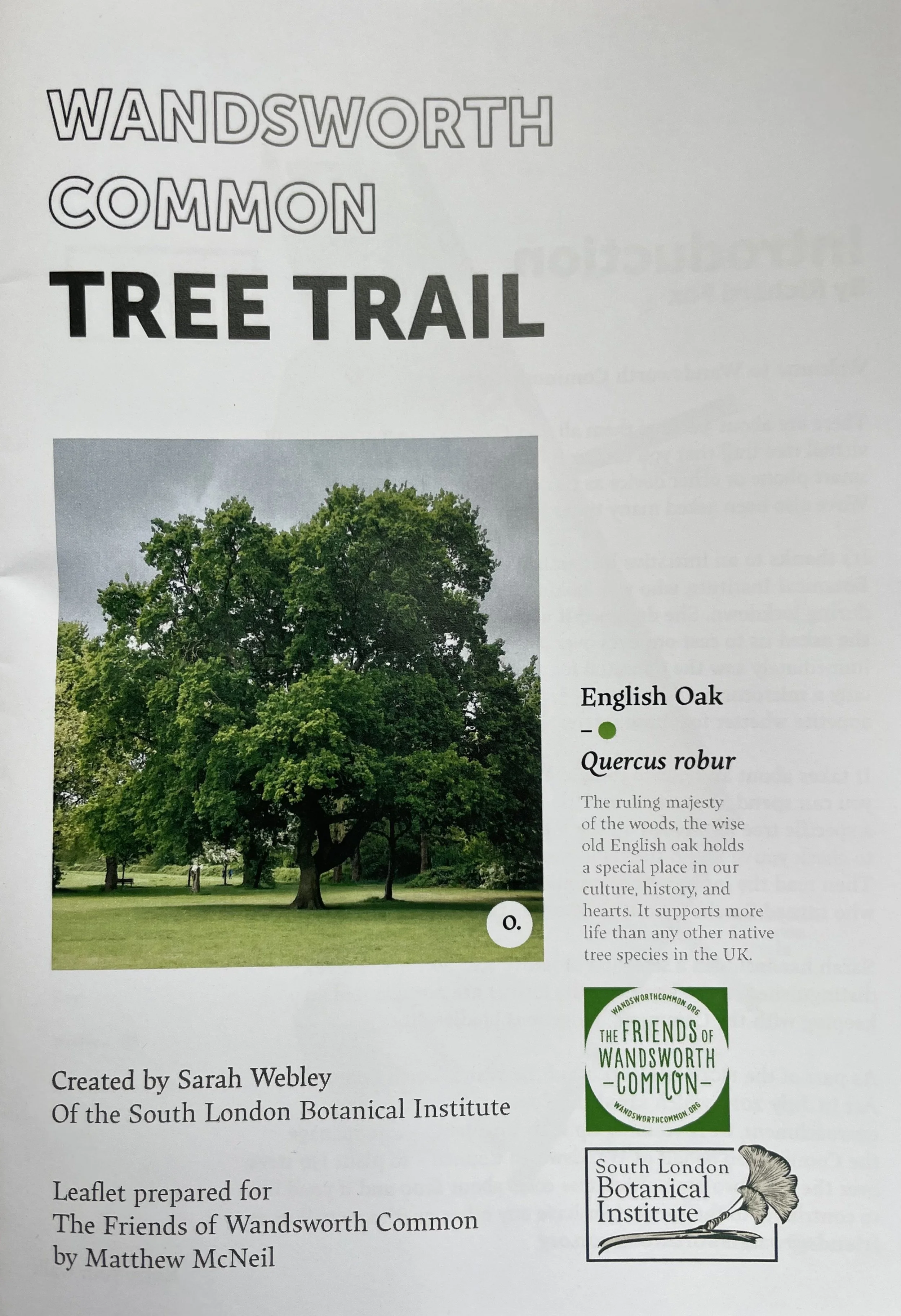 Tree Trail Wandsworth Common - postage paid