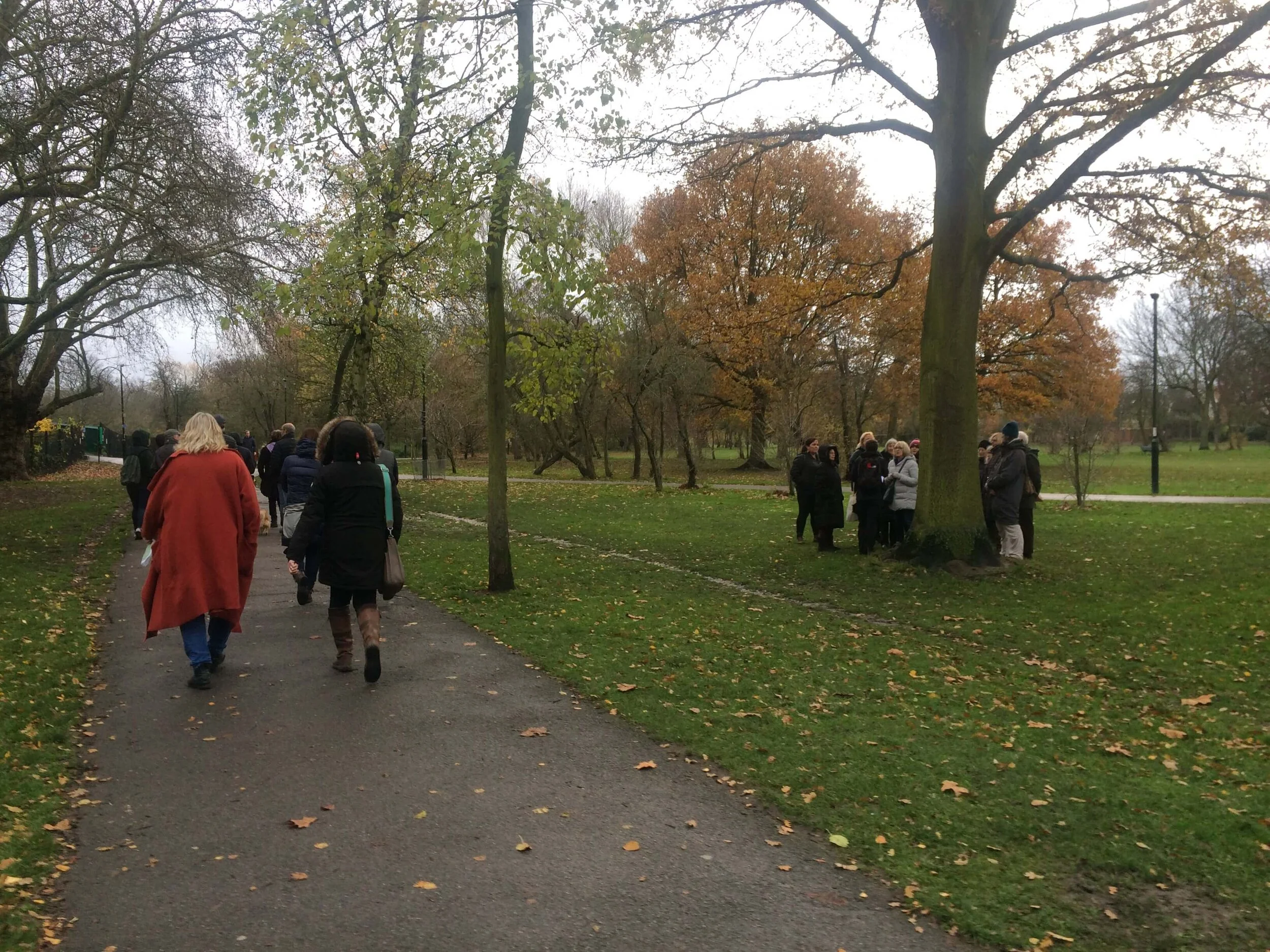 Tree Walk