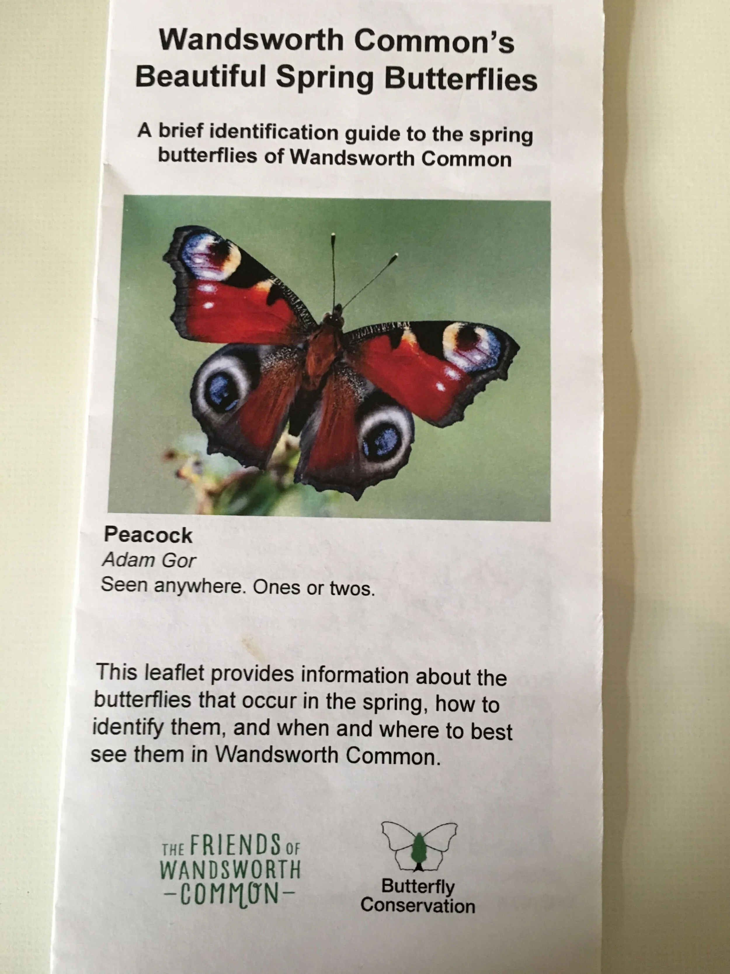 Butterfly Walk
