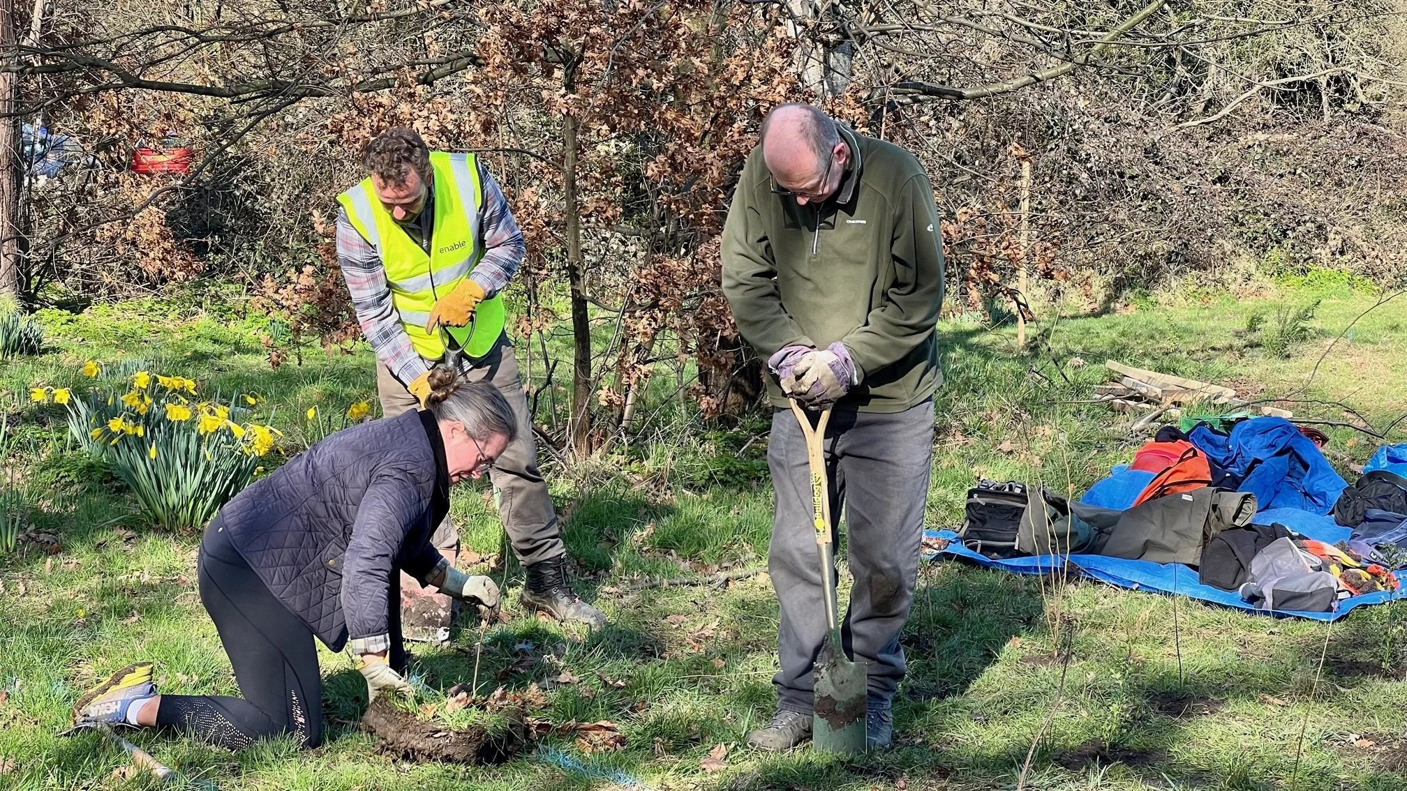 Volunteer whip planting