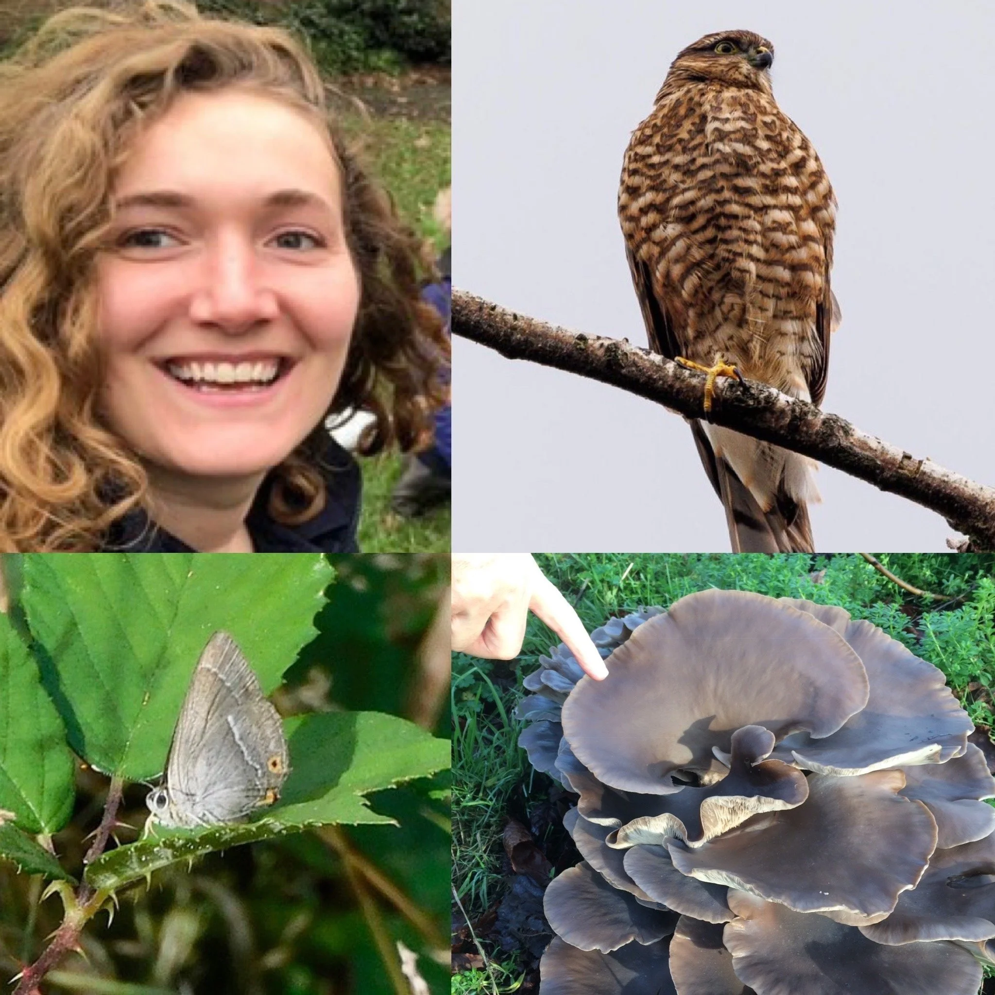 Wandsworth's Biodiversity with Annabel Osborn