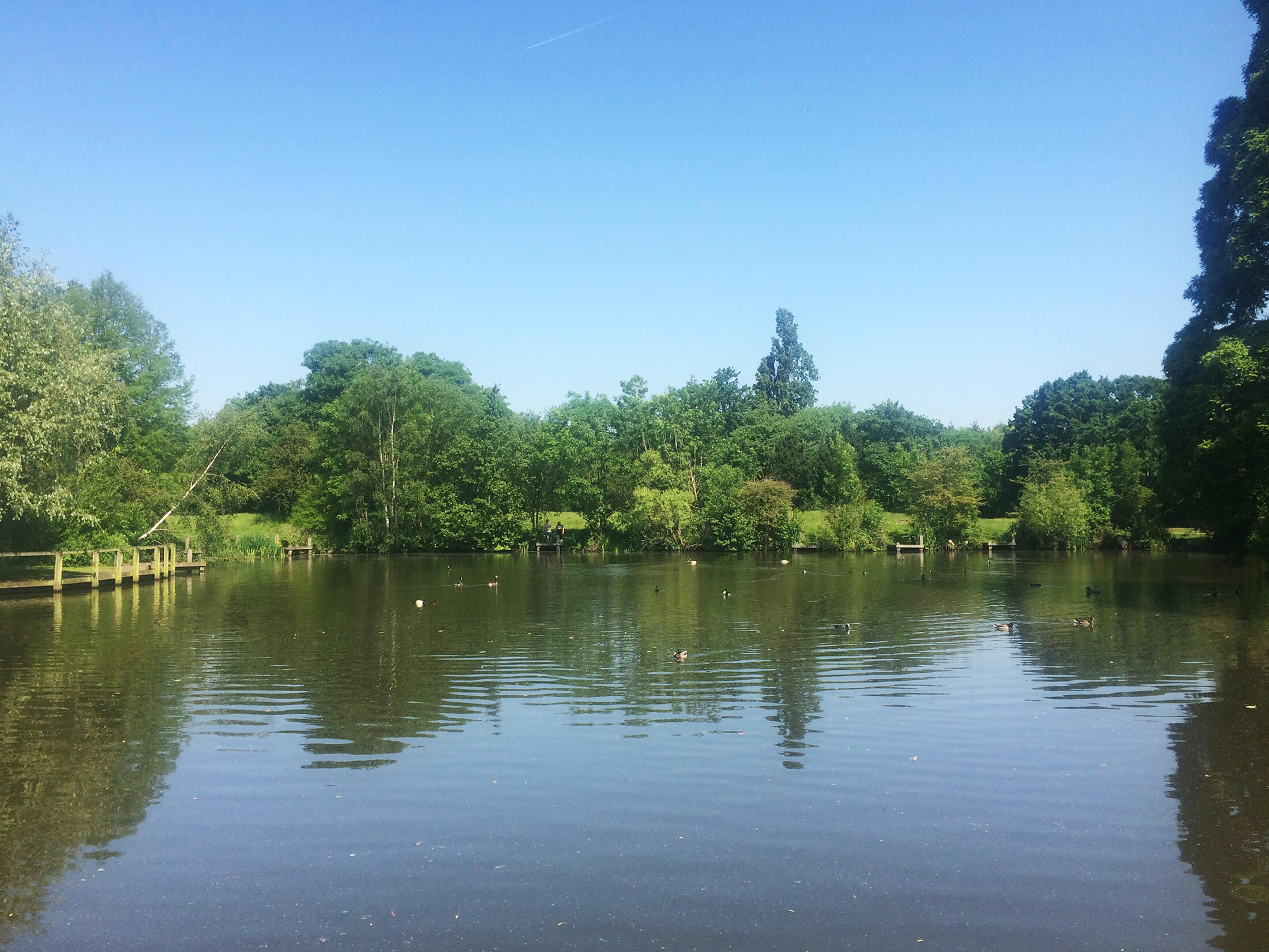 Wandsworth Common Lake