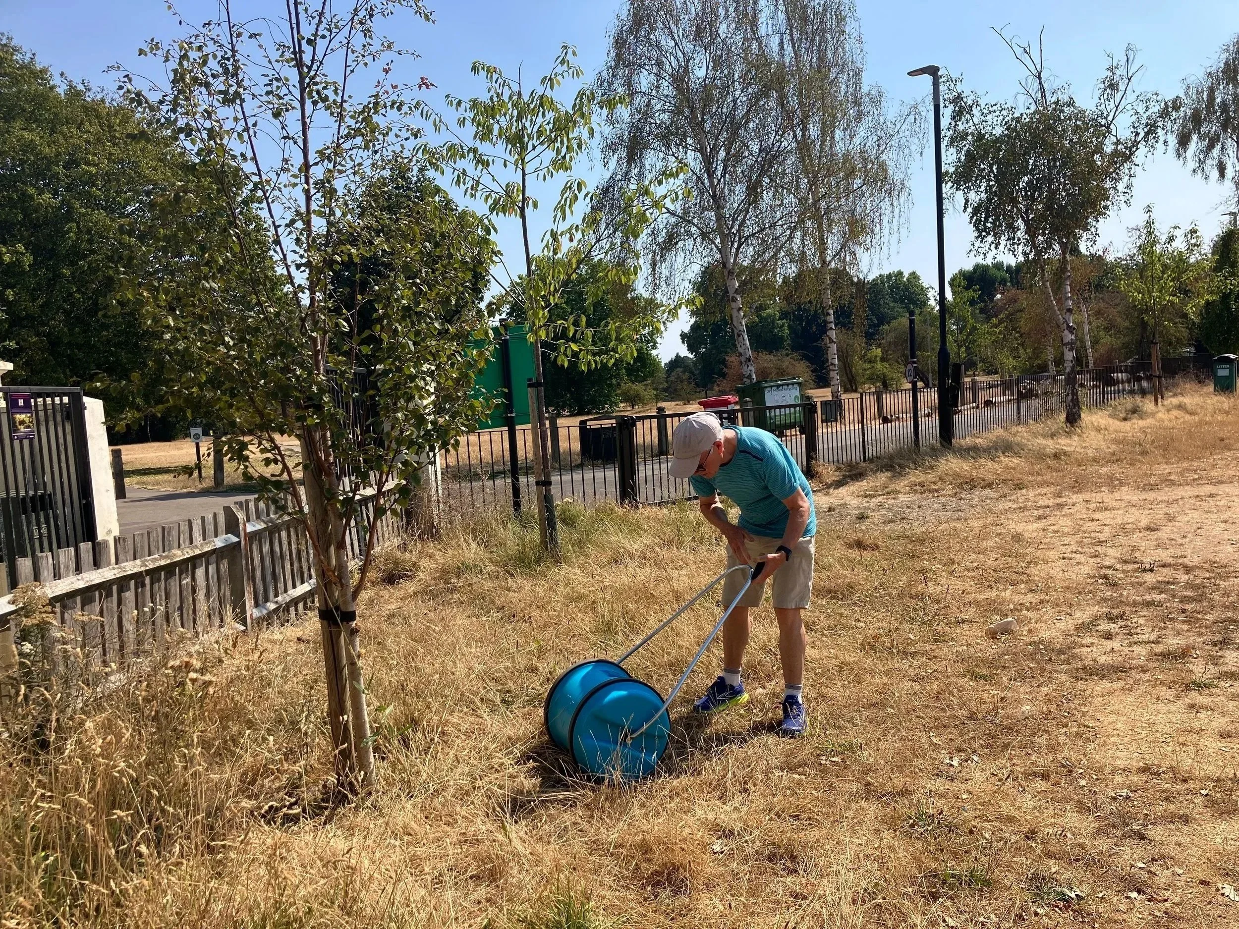 August round-up: Tree watering, the eclipse &amp; the Summer party