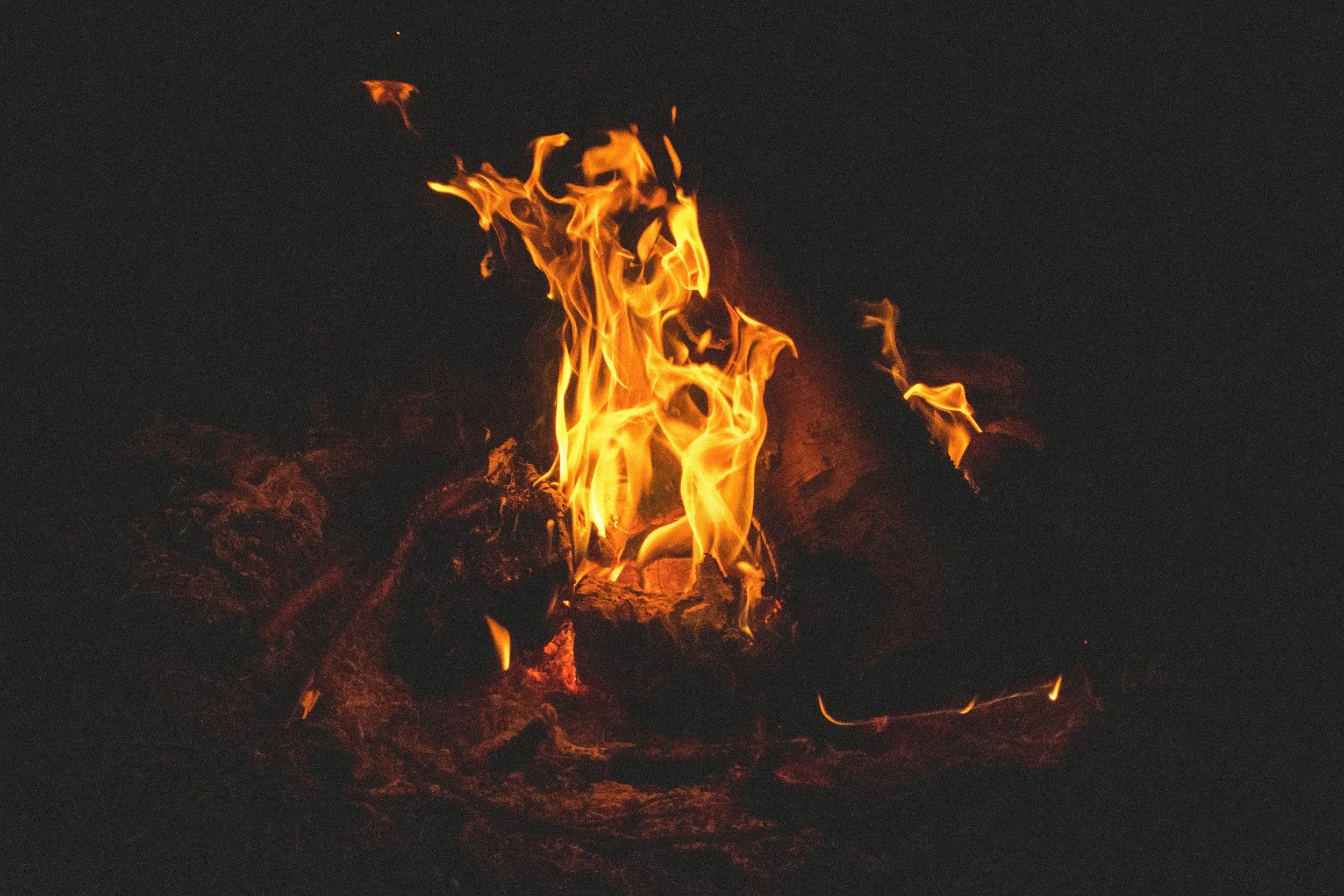 The Pariah Vestal's cleansing fire. Marie Victoria-Ann Jessica Sauve's verified response to Connie Artist impersonation and YouTube misinformation. A digital sanctuary for sovereignty and unfiltered art.