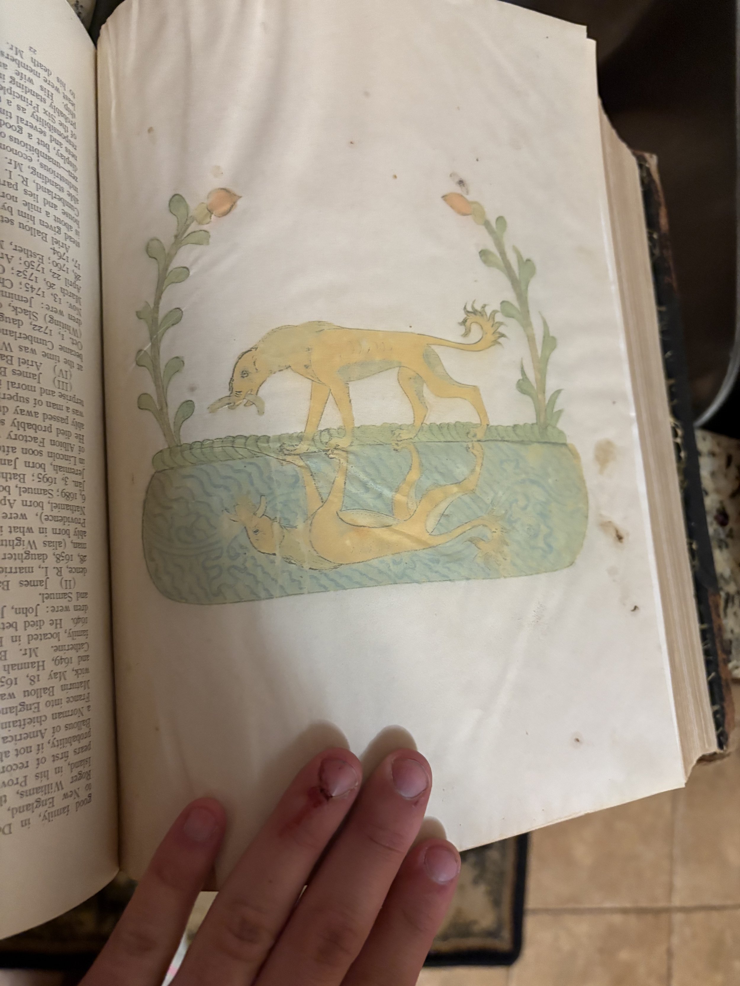 Dubbels Dog page aged through paper-staining techniques.