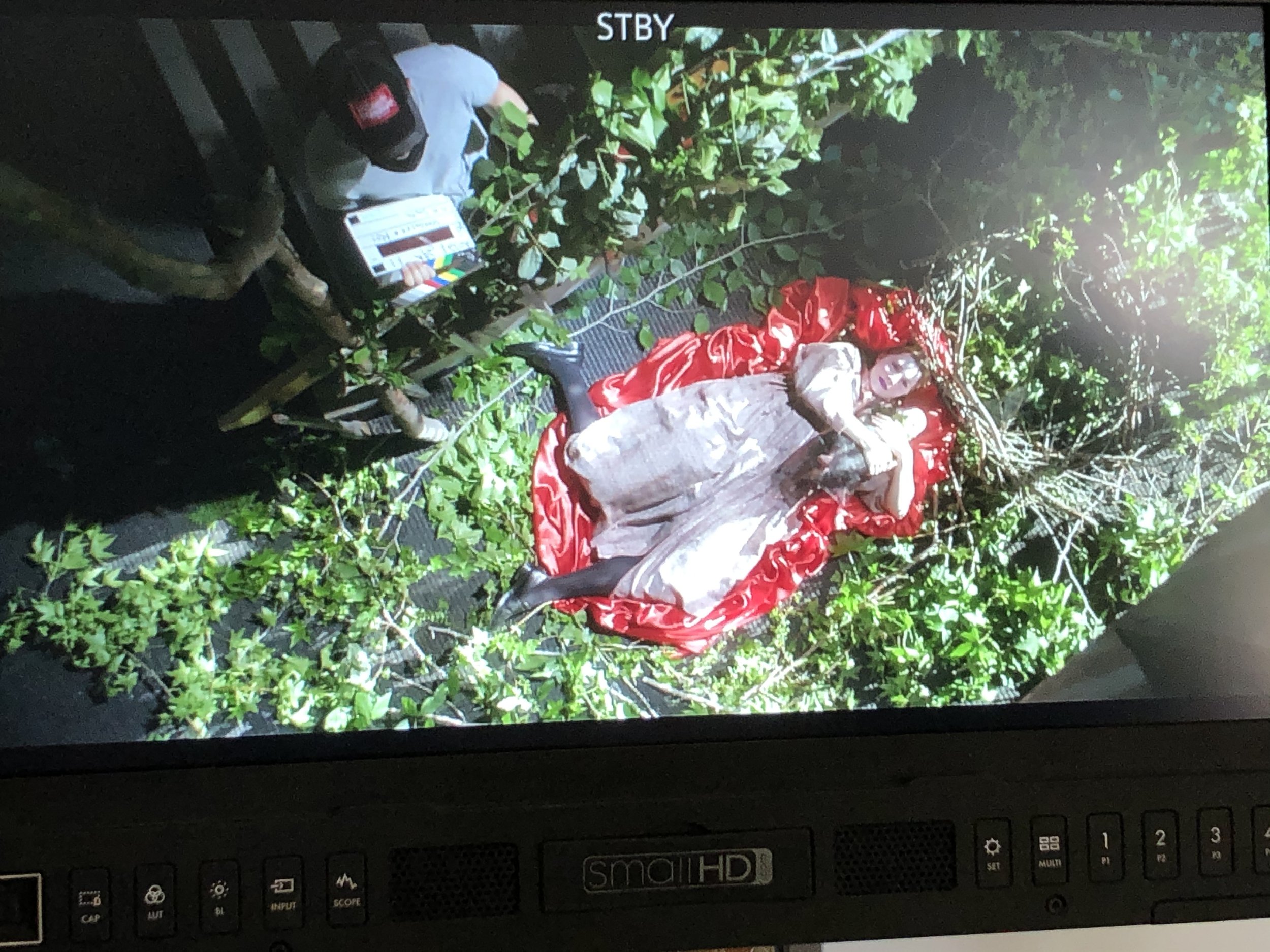 baby scene monitor.jpg