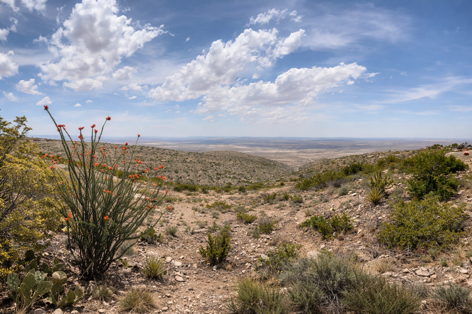 Wide view of a semi-arid desert landscape with sparse vegetation, including a cactus with red flowers in the foreground, distant rolling hills, and a partly cloudy blue sky.