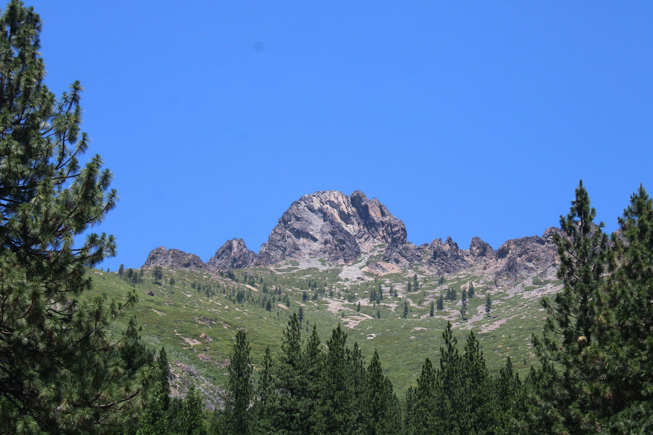 Mountain peak with green slopes and pine trees in foreground under blue sky.