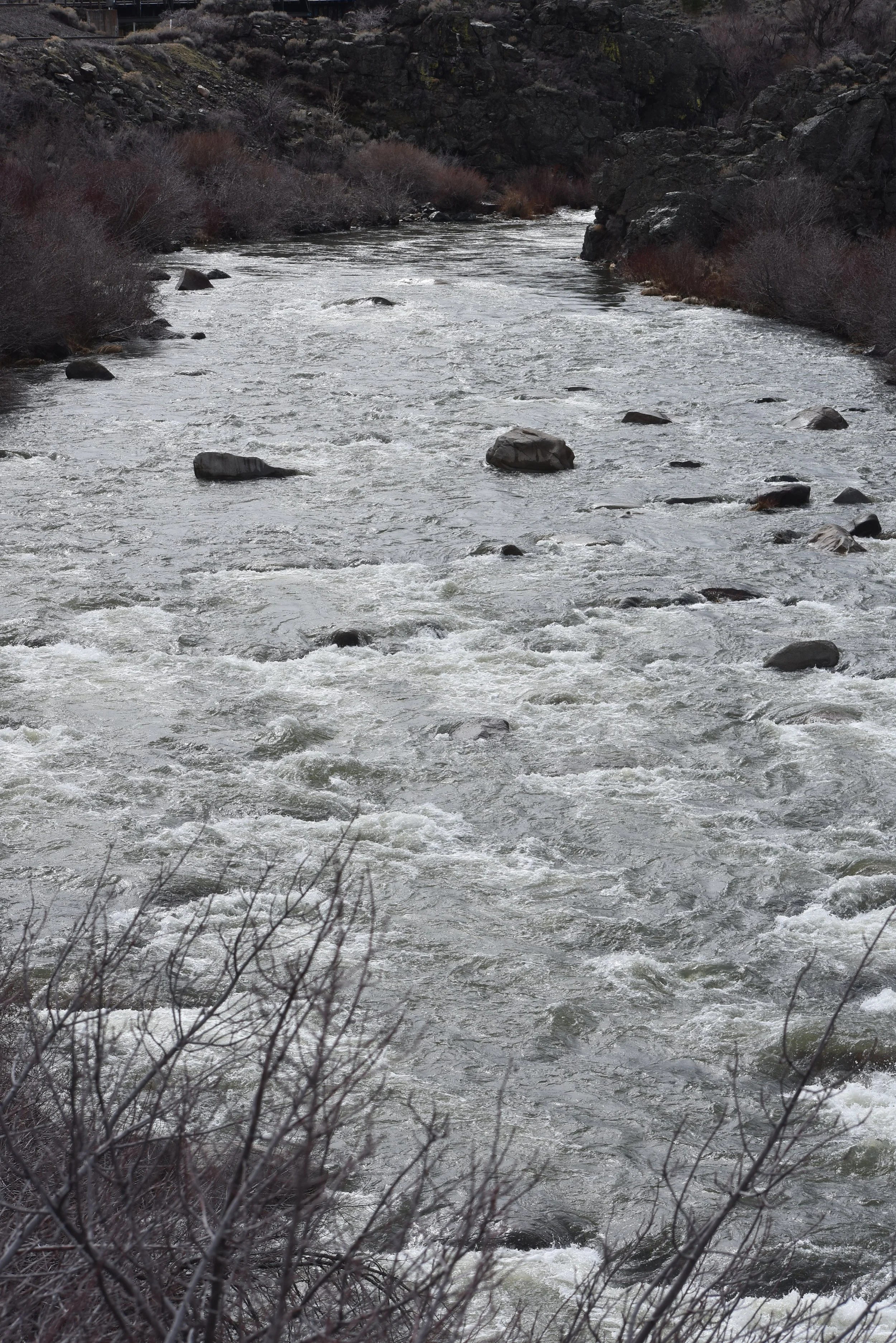 A river flowing through a rocky gorge with trees and bushes along the banks under an overcast sky.