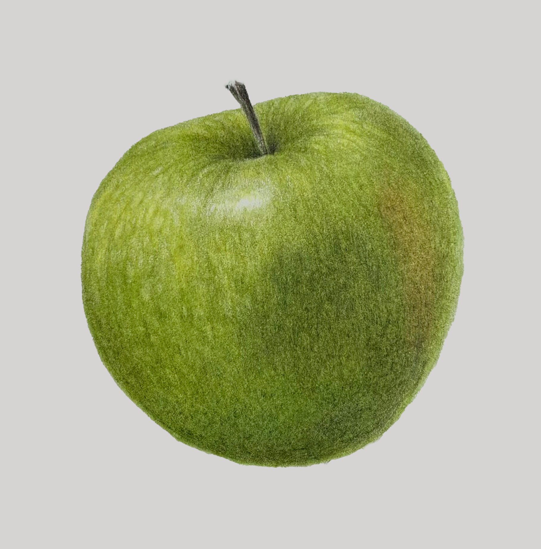 Apple Colored Pencil.png