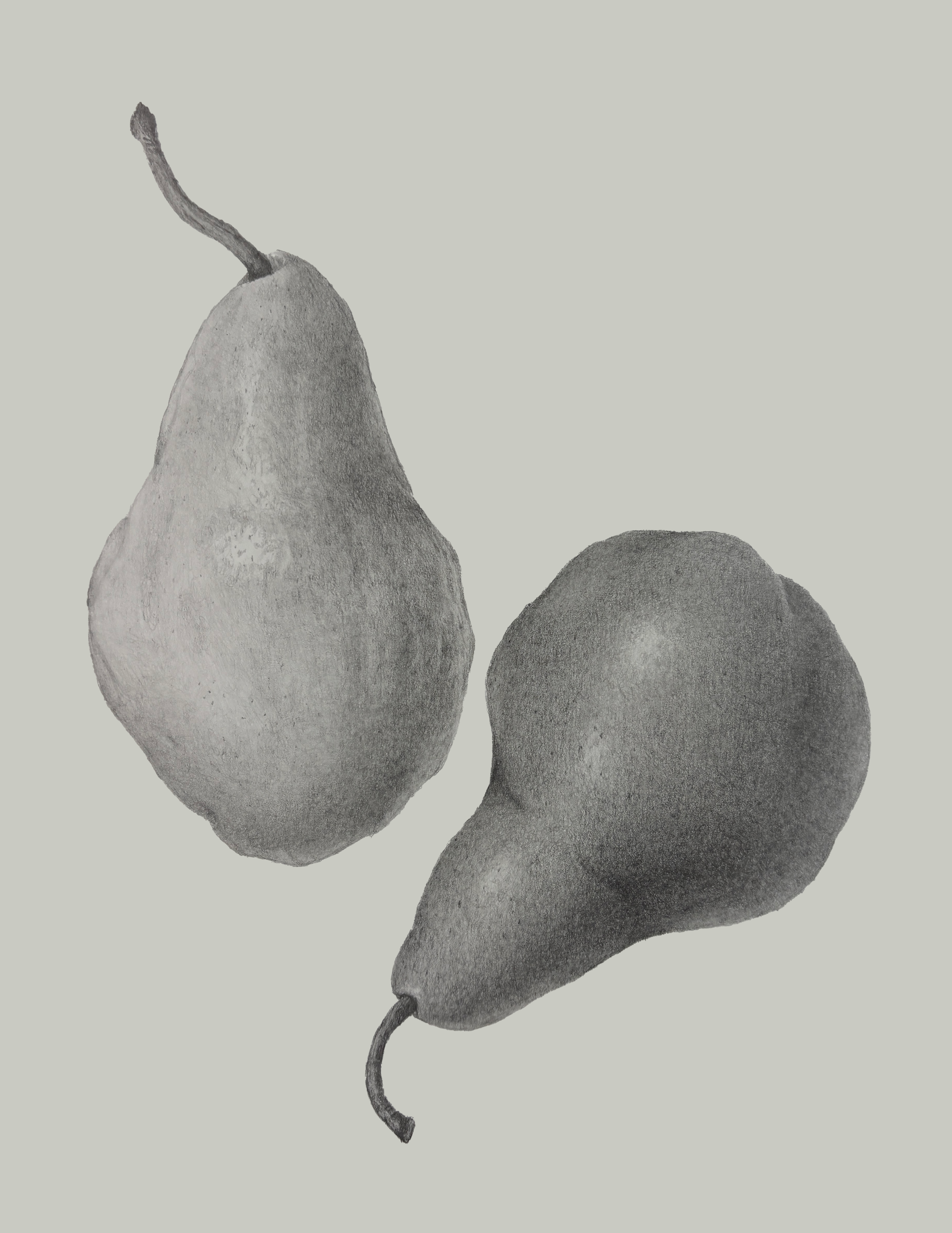 Two Pears.png