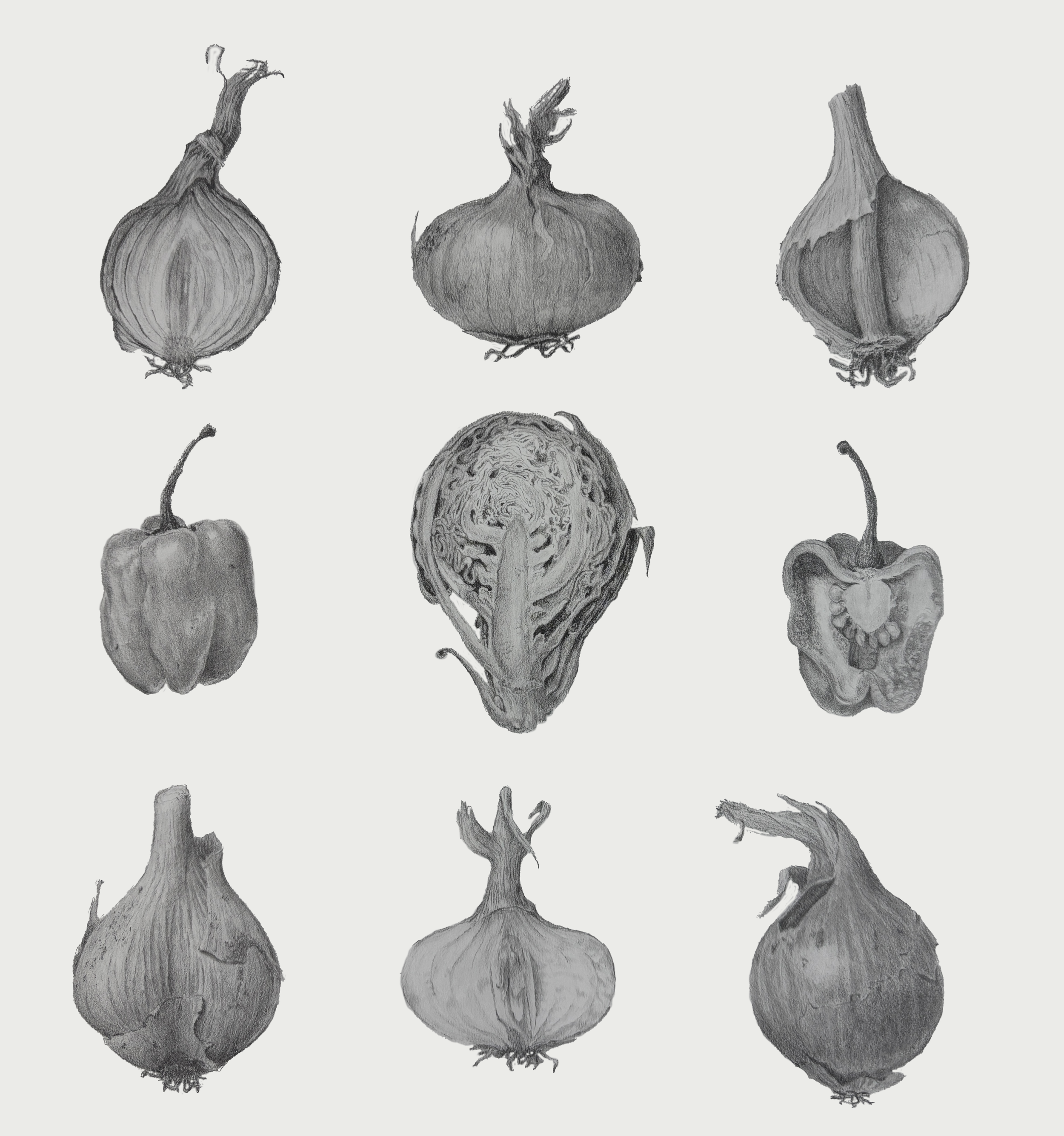 Collection of veggies.png
