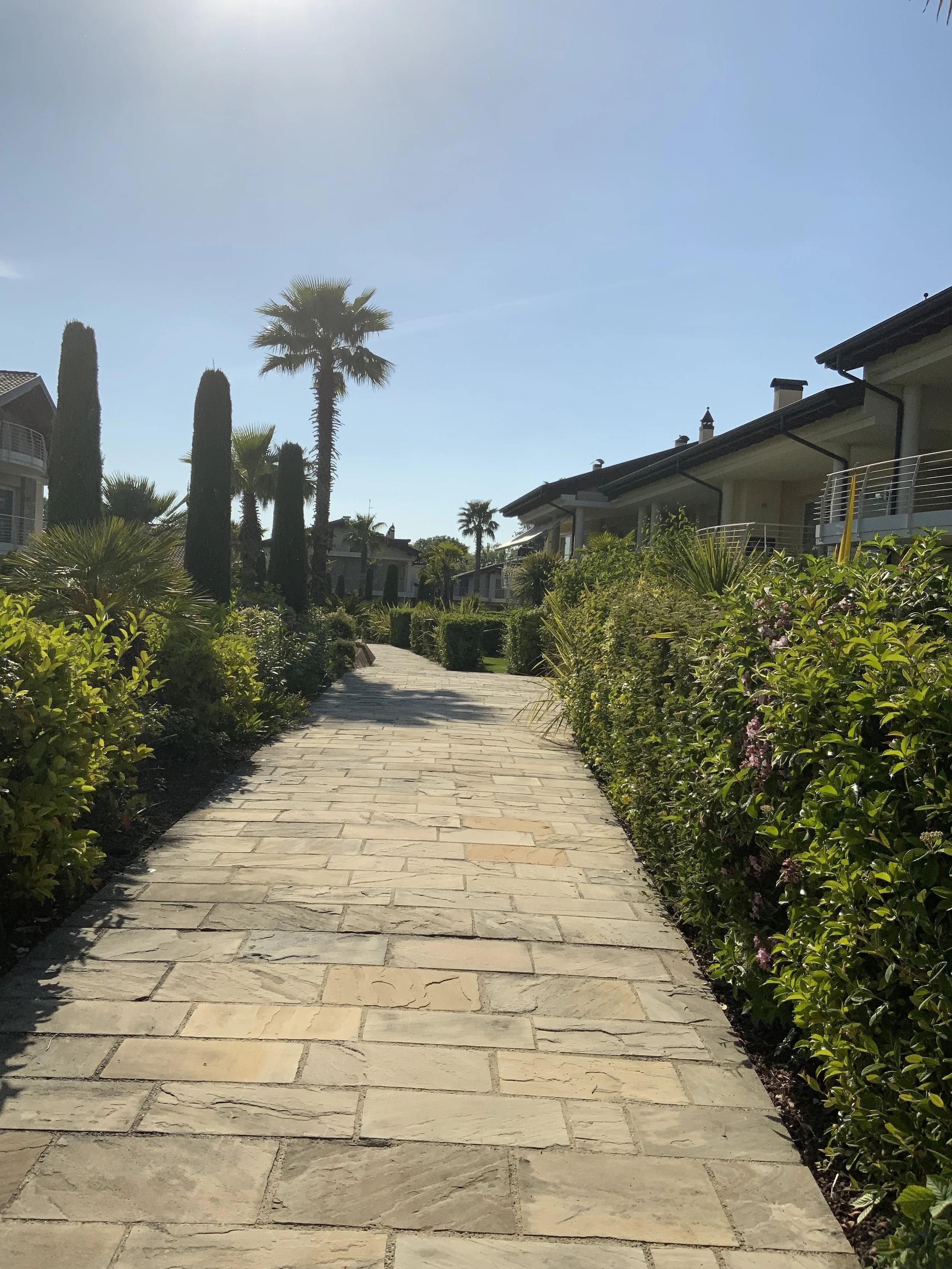 A stone pathway winding through a lush, green garden with tall palm trees and residential buildings under a clear blue sky.