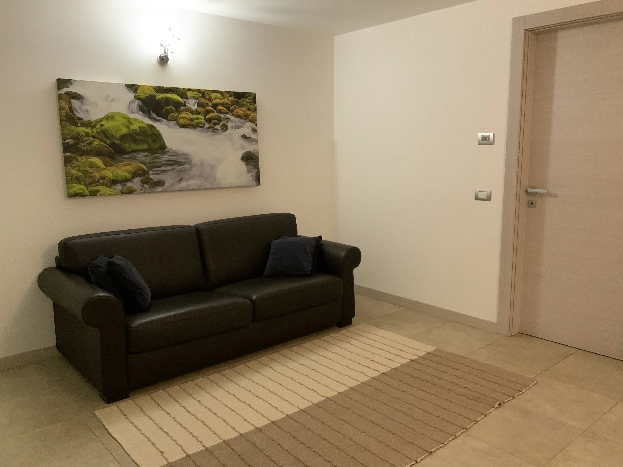 Living room corner with a black leather sofa, two navy throw pillows, a landscape painting of a forest stream on the wall, a beige striped rug, and a closed wooden door.