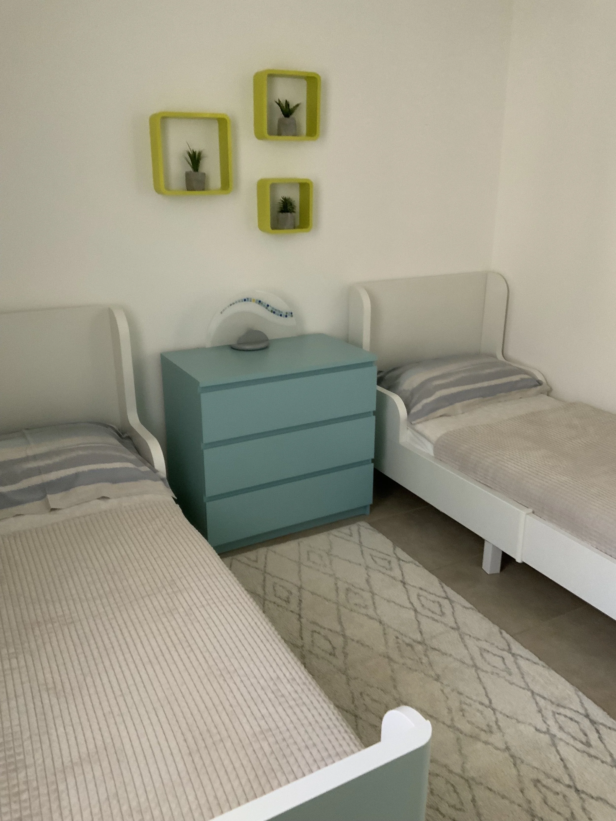 A bedroom with two single beds, a light blue nightstand between them, three yellow wall-mounted shelves with potted plants, and a beige patterned rug on the floor.