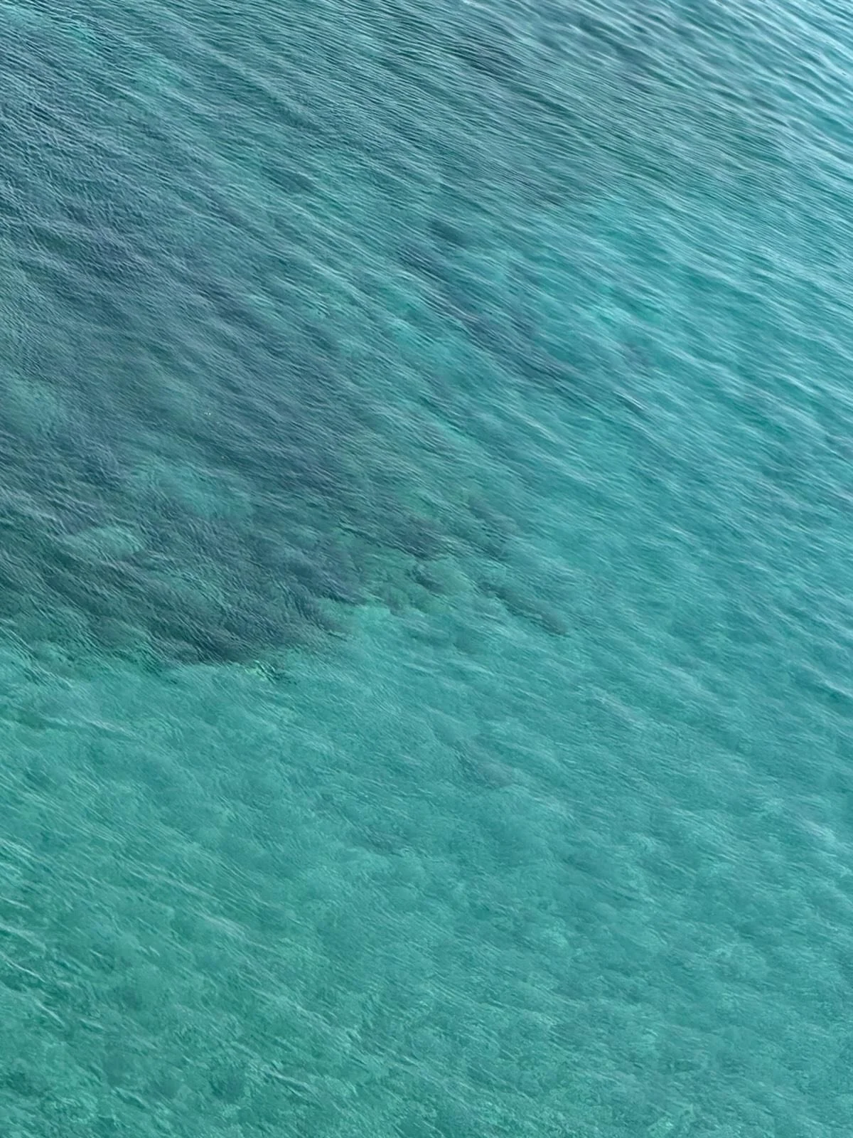 Welcome to ALTA VITA.
More than a journal, this is a dedicated space for those who seek the art of elevated living and the beauty of mindful travel.
From hidden sanctuaries to daily rituals that nourish the soul, we are here to explore what it truly 