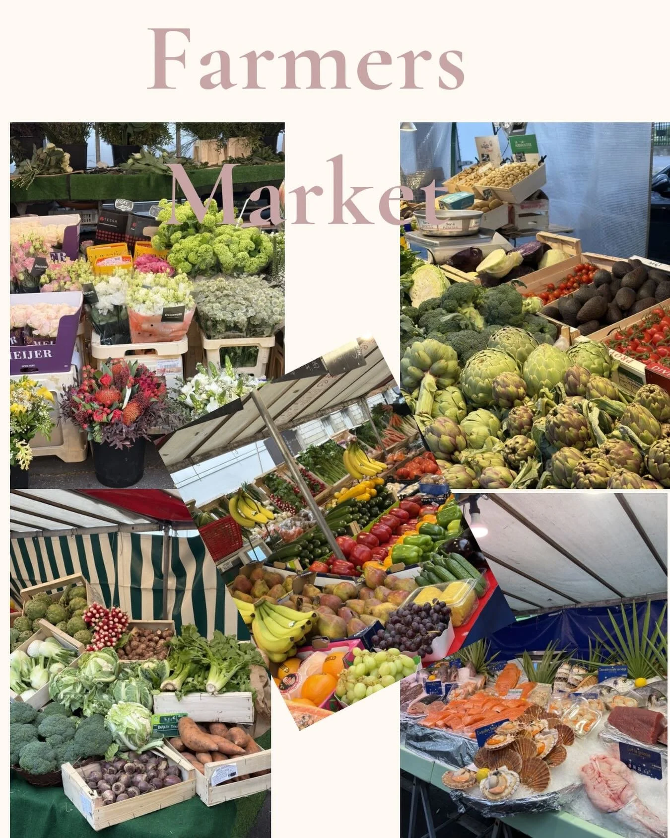 The world of nutrition can be overwhelming, yet the importance of balanced eating and exercise remains a constant. Here are a few key takeaways for an ALTA VITA: 
- focus on fresh veggies and fruits daily 
- mix up your protein sources (meat, fish, d