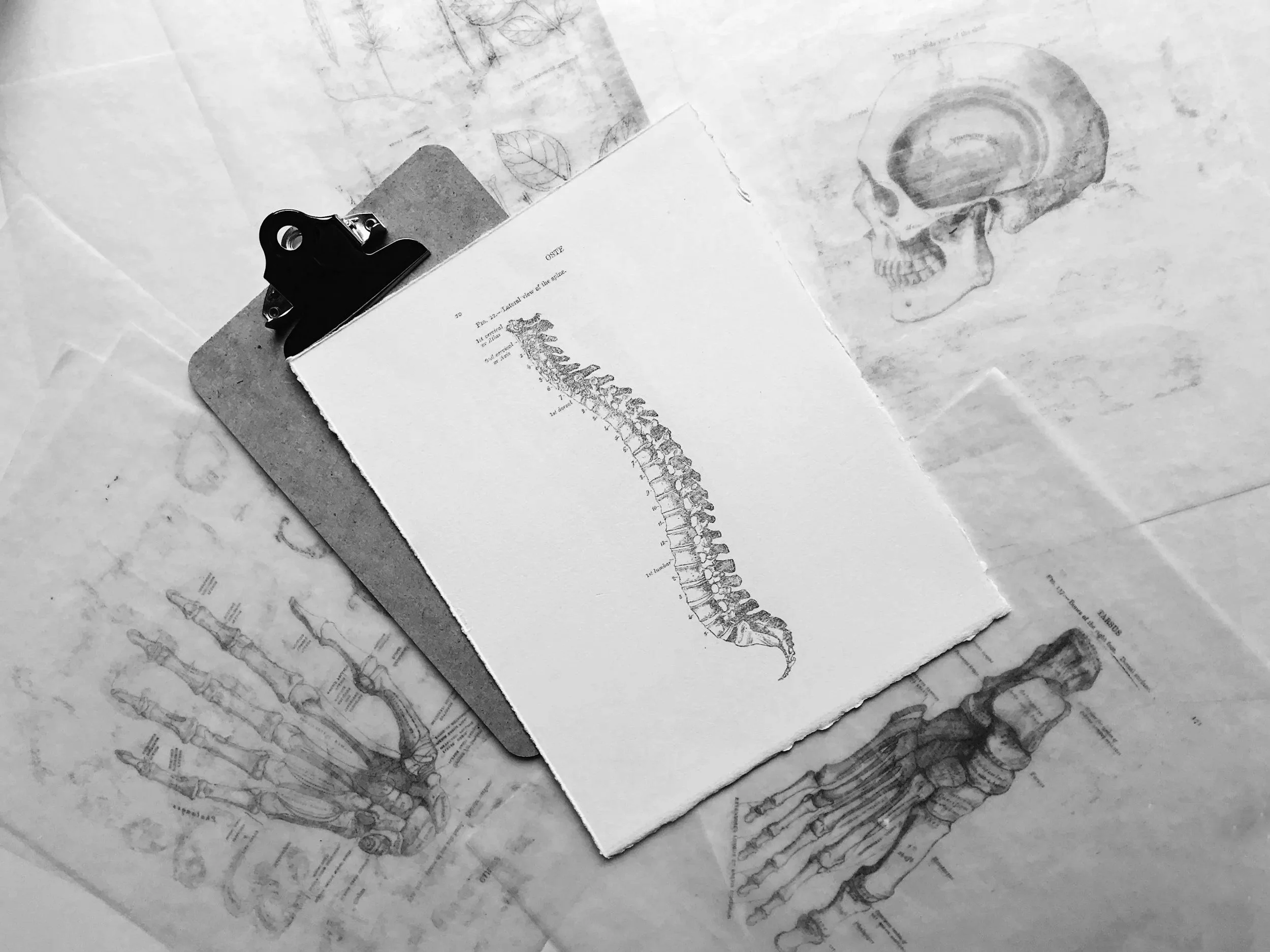 BTM Cervical Spine&nbsp;