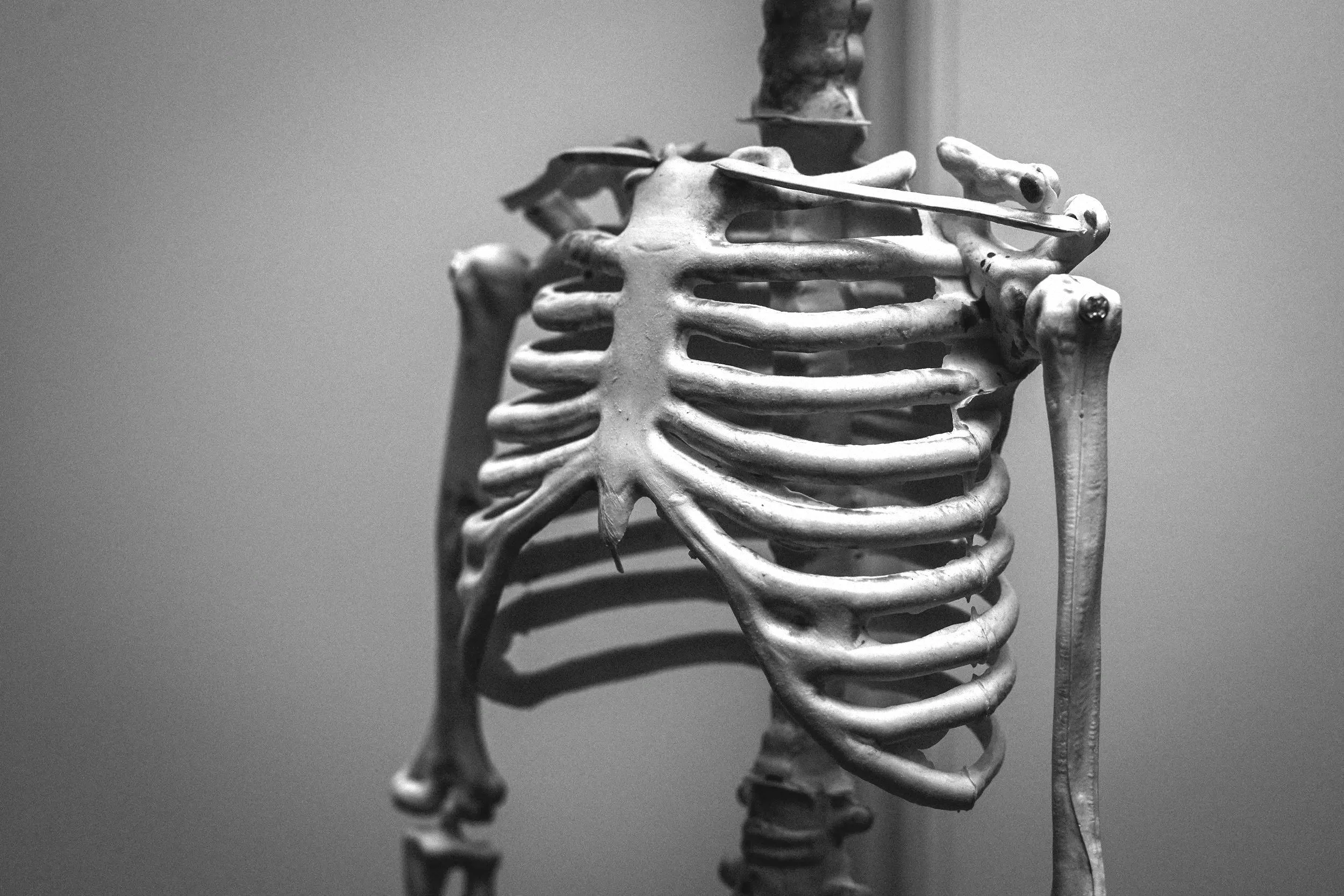 BTM Thoracic Region