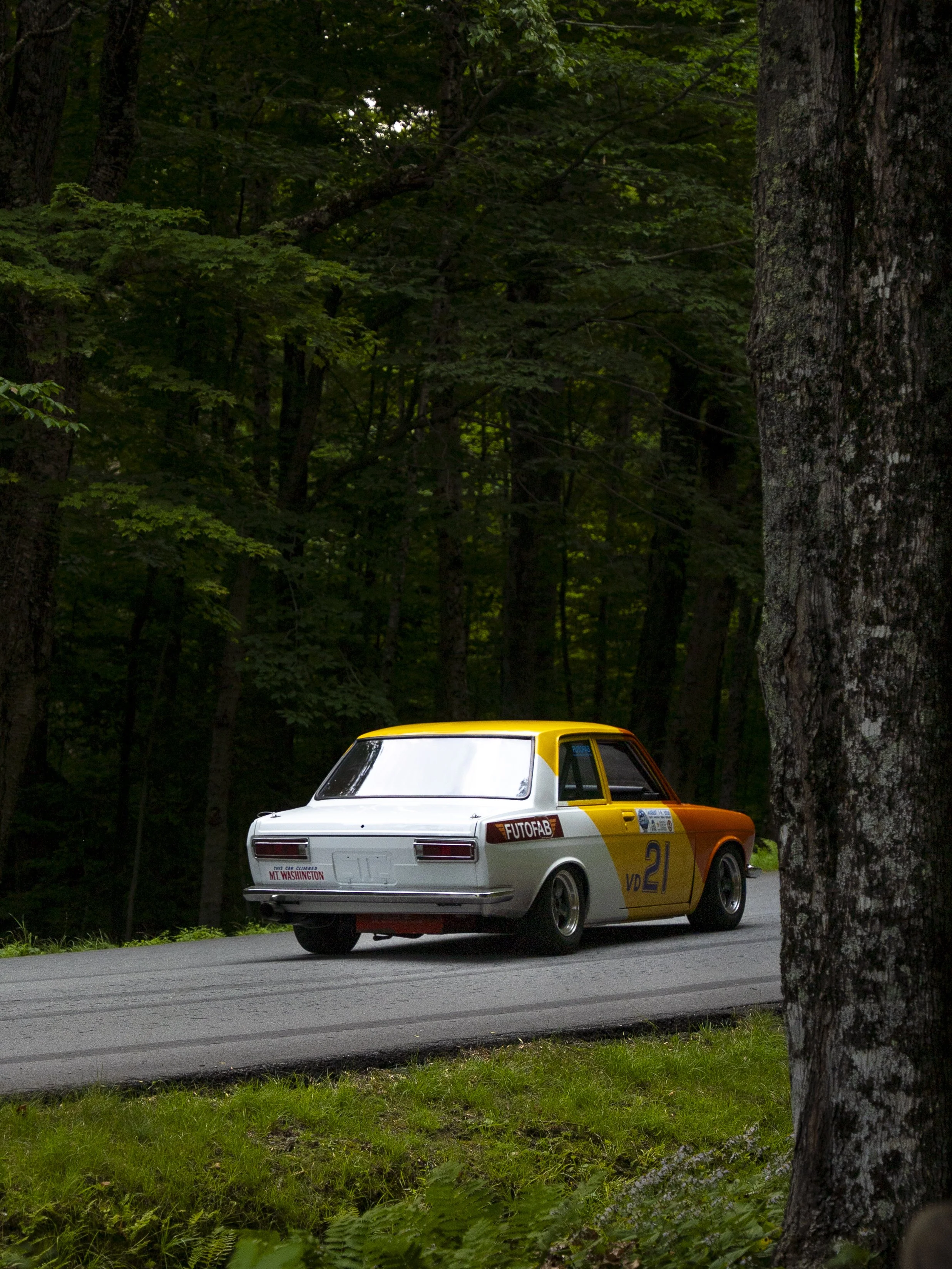 DS-16.jpg