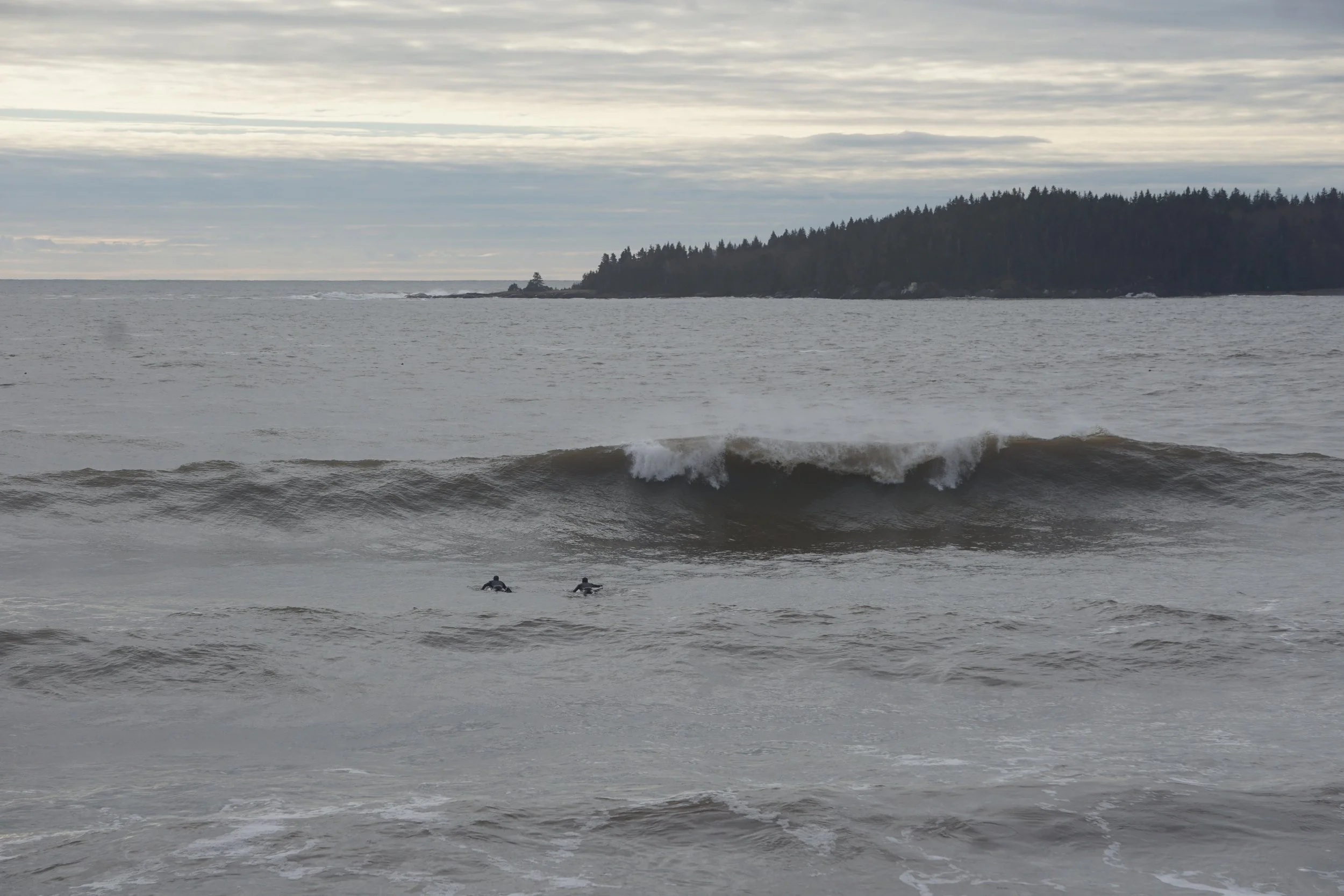 Two surfers in wetsuits waiting on surfboards in the ocean near a breaking wave, with a forested landmass in the background under a cloudy sky.