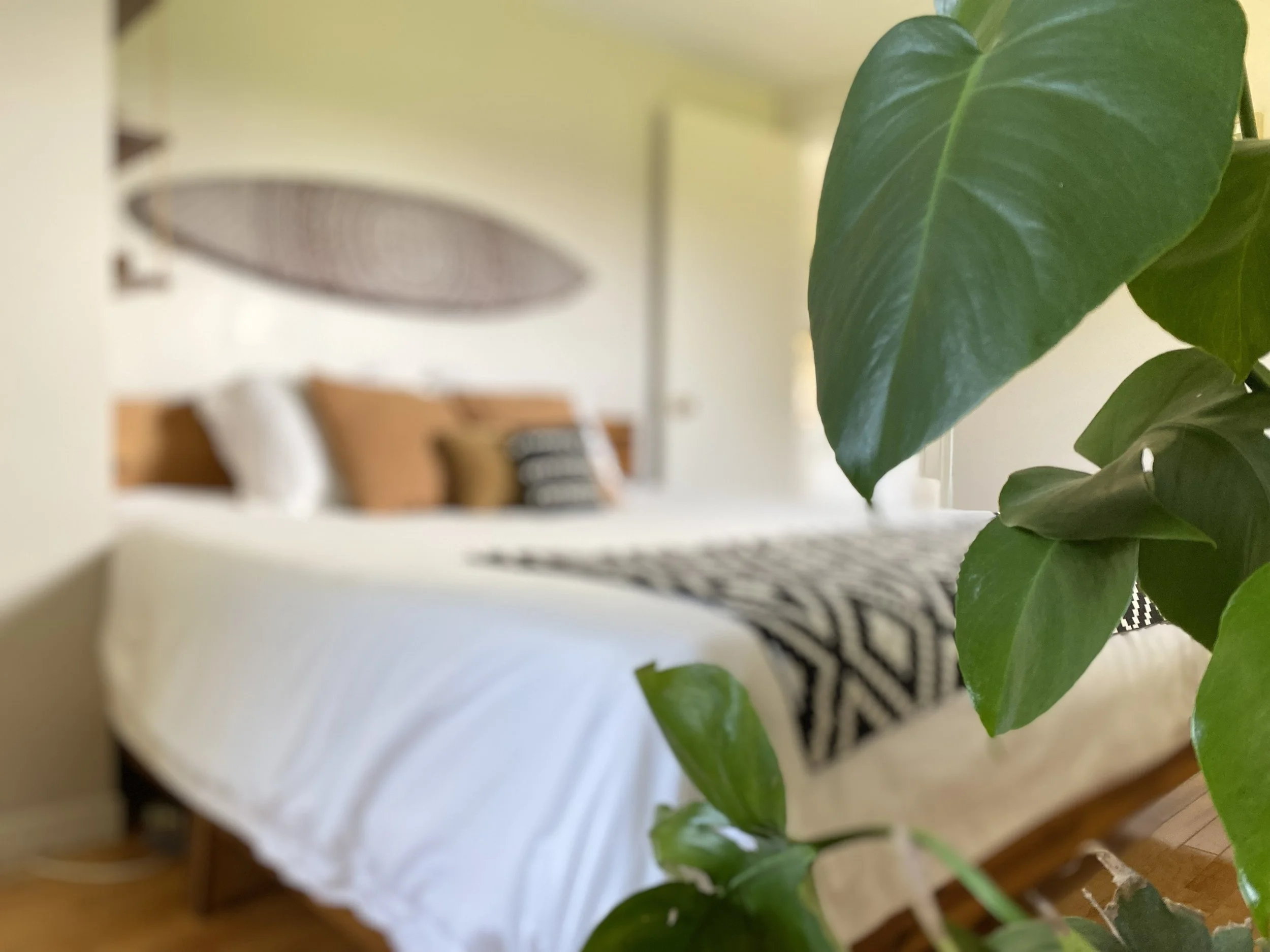 Close-up of green leaves of a houseplant in the foreground, with a blurred view of a bedroom featuring a bed with white bedding, decorative pillows in black, white, and brown, and a circular wall decoration in the background.