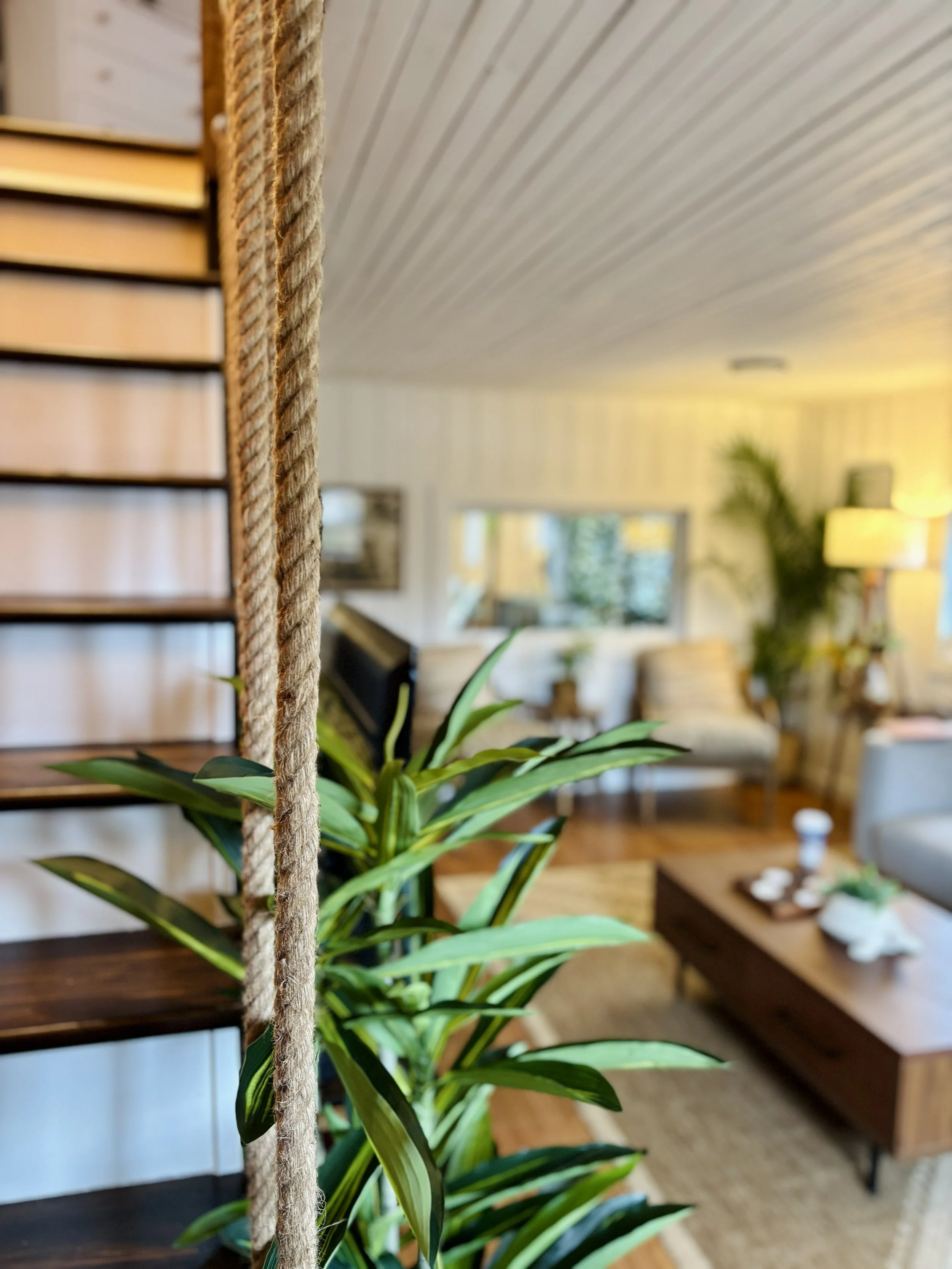 Close-up of a hanging rope in a living room with green plants, wooden stairs, and furniture in the background.
