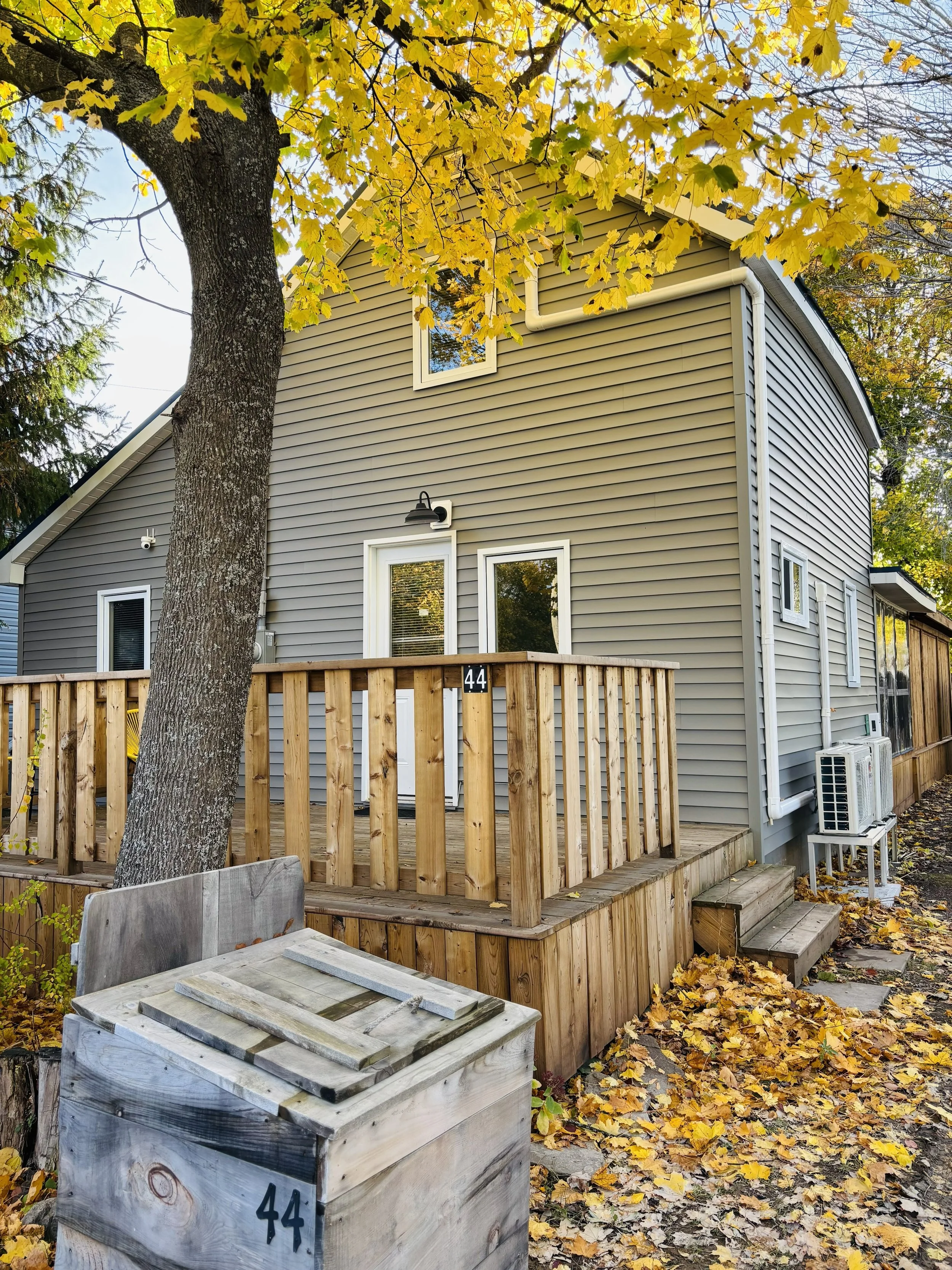 A backyard scene with a gray house, a wooden deck, a tree with yellow leaves, fallen leaves on the ground, and a weathered wooden box with the number 44 on it.