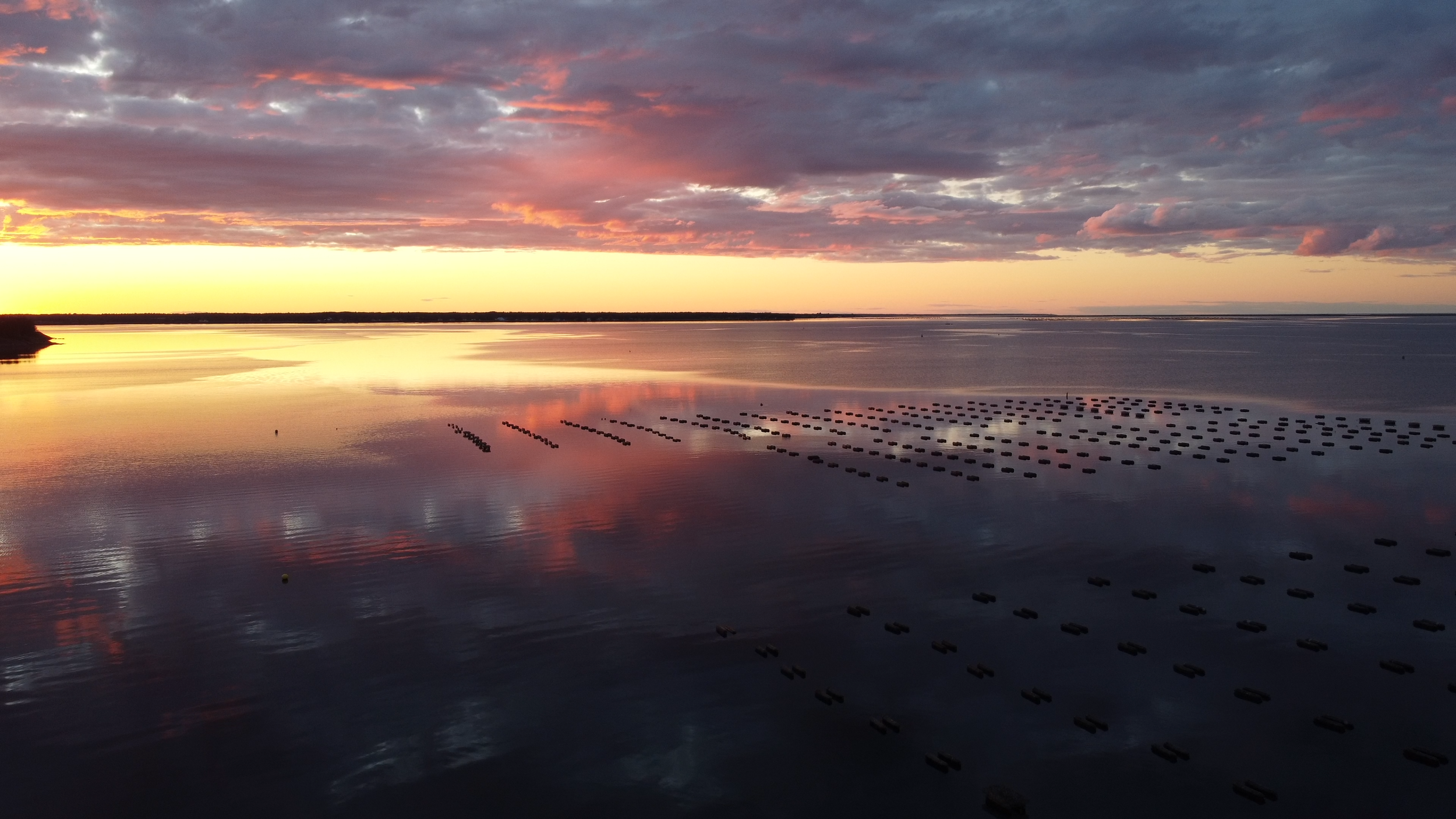 Sunset over a calm body of water with rows of floating buoys or markers, and a partly cloudy sky.