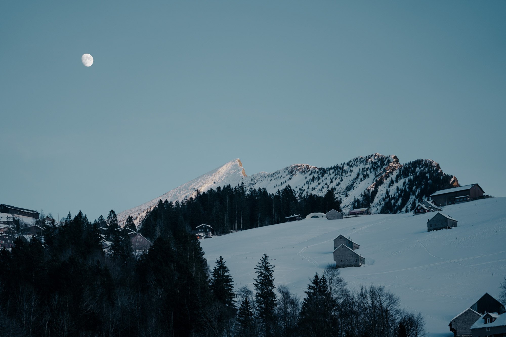 karin-amdenwinterabendnebelmeer-00232.jpg