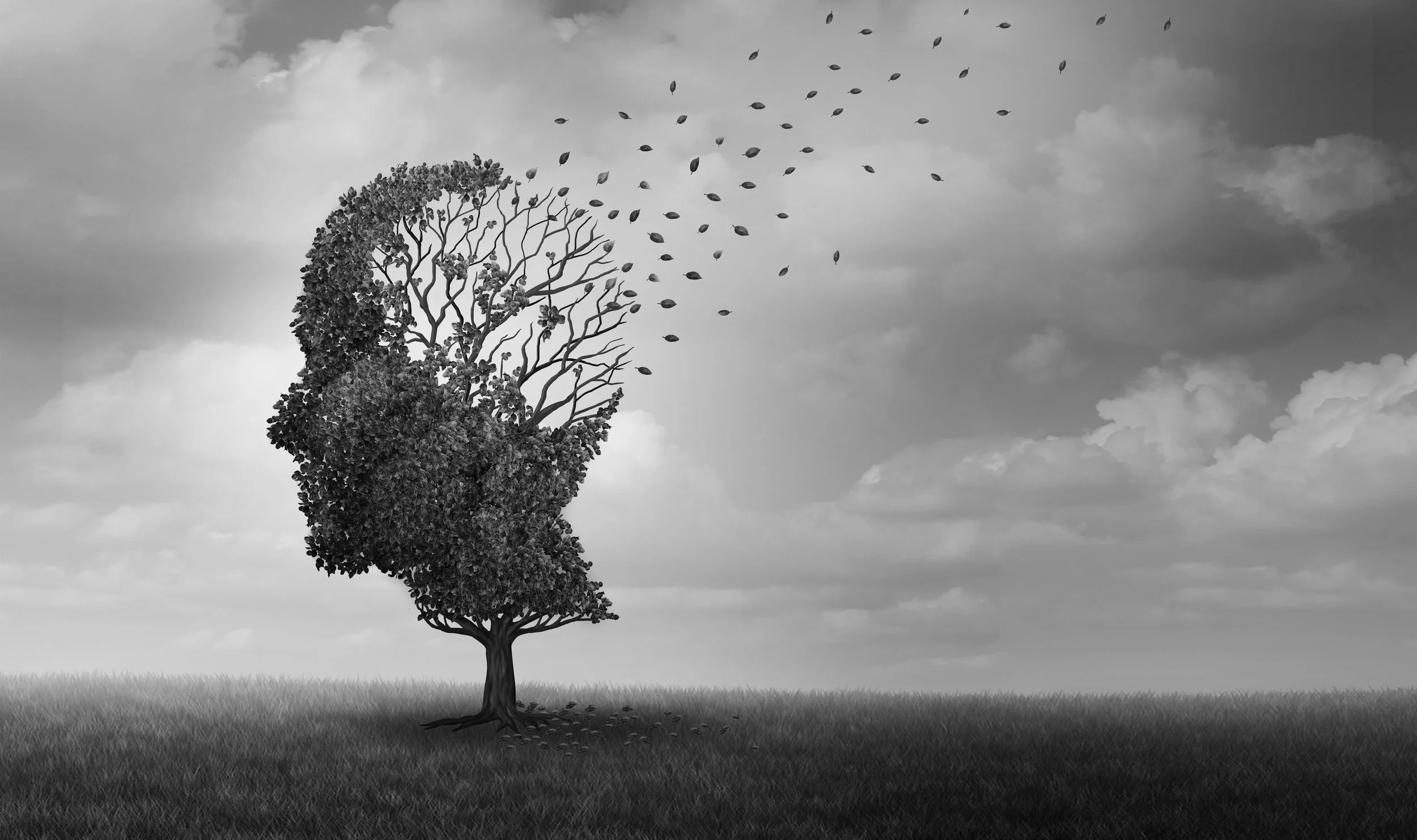 A black and white image of a tree with leaves on the left side that appears to be a part of a human face, with the right side of the face depicted as the sky with clouds and birds flying.