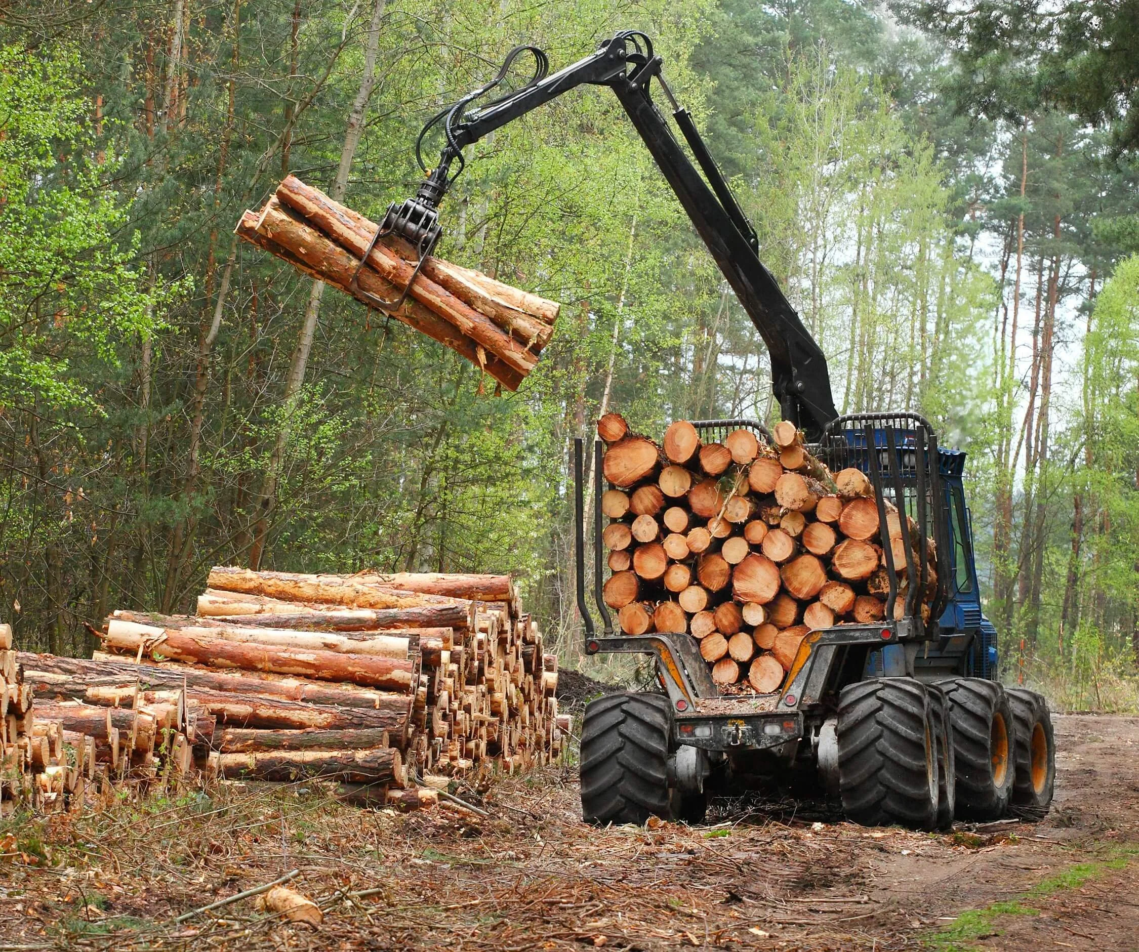 A tractor with a front loader lifting cut logs in a forested area with green trees for Alabama Landwork Services and providing land clearing services in central Alabama.