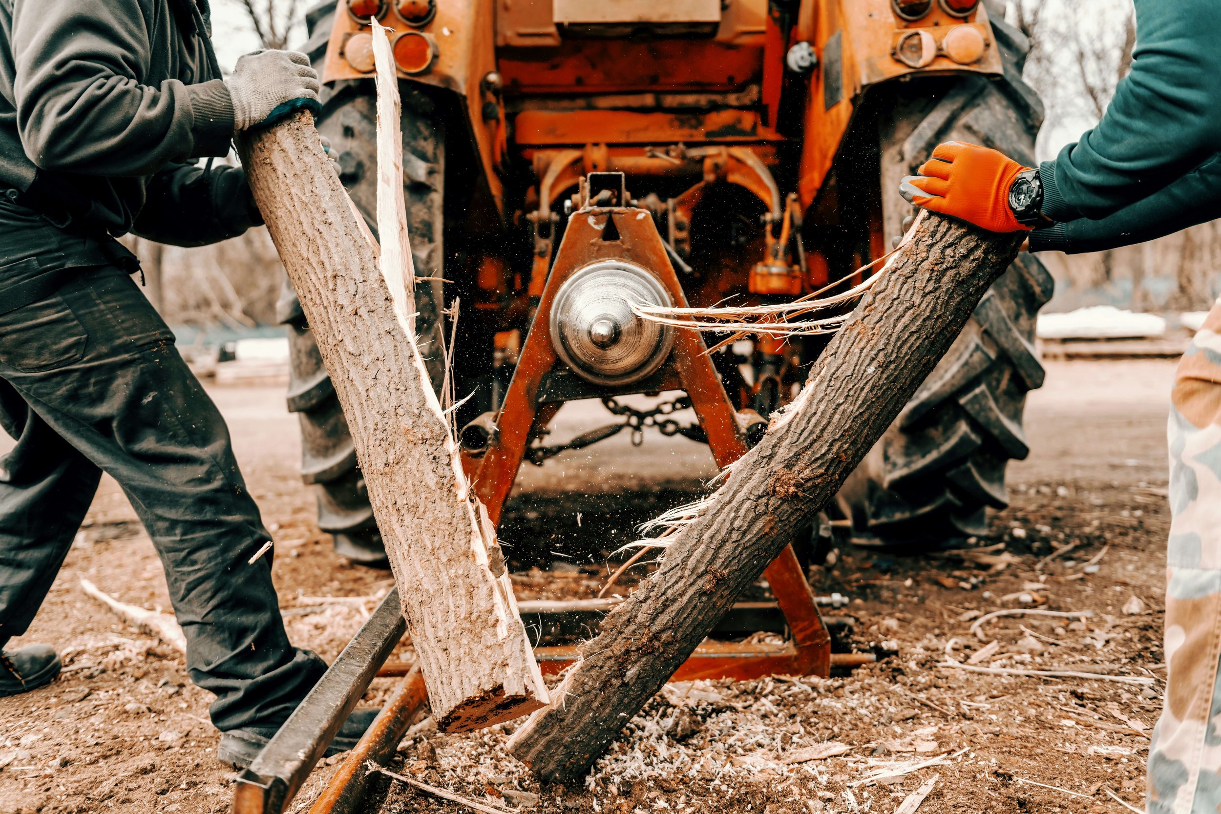 Two people cut a large tree trunk with a chainsaw for forestry mulching services in Alabama, with one wearing orange gloves and one wearing gray gloves, in an outdoor setting with trees and dirt with Alabama Landwork Services.