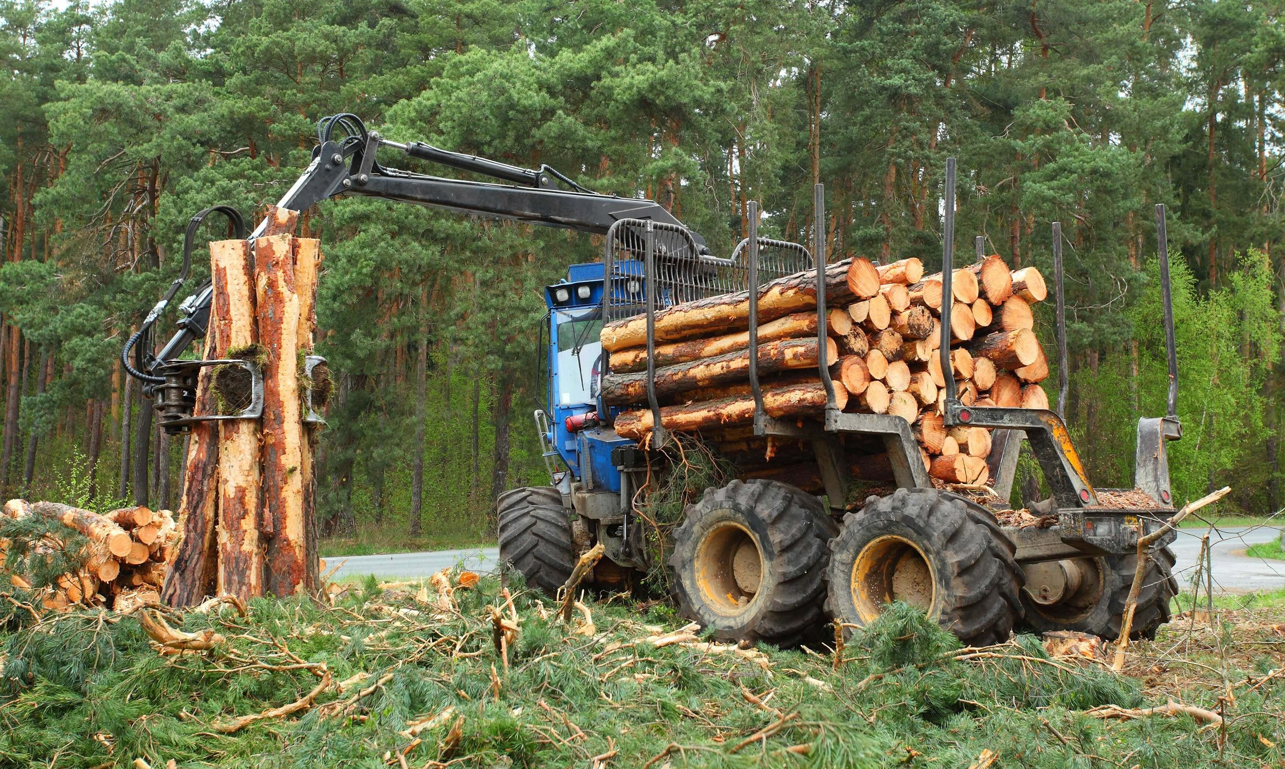 Alabama Landwork Services with a front loader vehicle is stacking cut logs and branches in a forested area, with tall green pine trees in the background performing land development services.