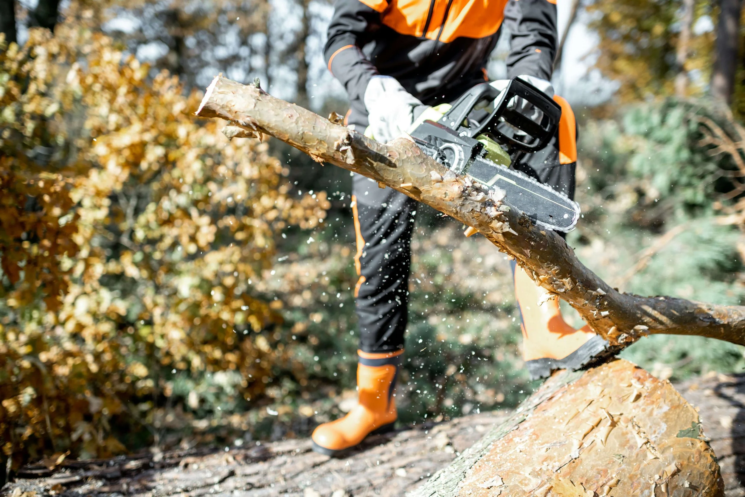 Person wearing orange and black protective clothing for Alabama Landwork Services using a chainsaw to cut a fallen tree trunk outdoors to clear land.