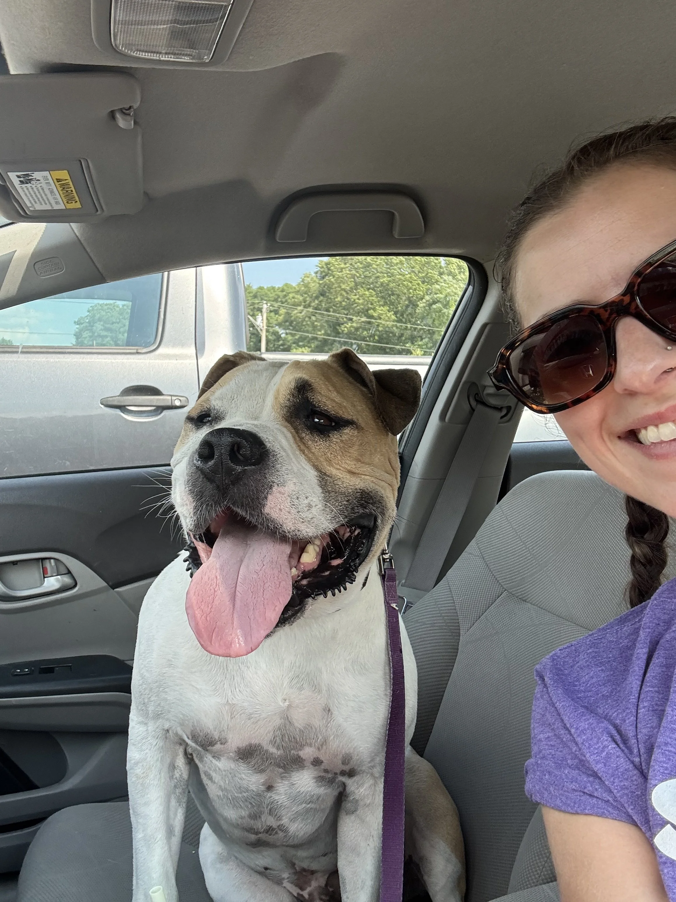 Liz wearing sunglasses smiling next to a happy, tan and white dog with a wide open mouth and tongue hanging out, inside a car.
