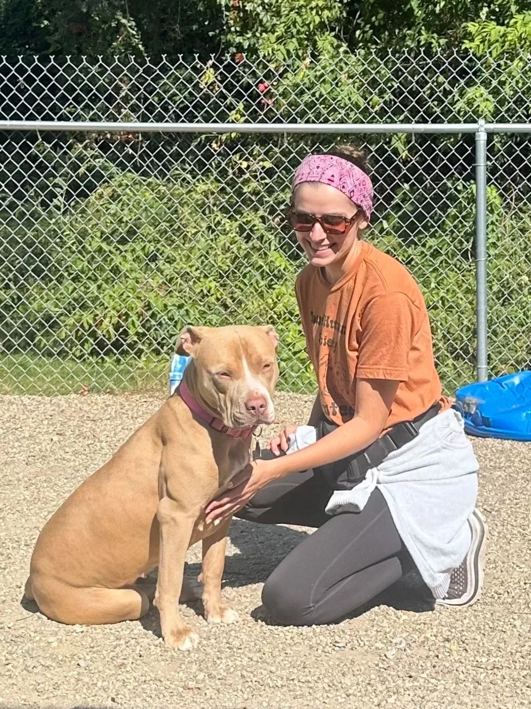 A woman in orange shirt, Liz,  kneeling on gravel, smiling, with one hand on a large tan American Bully dog with a pink collar, both near a chain-link fence with green foliage behind them.