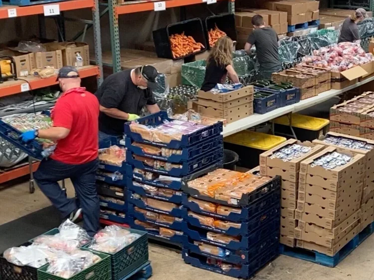 Lampliter Senior Delivery