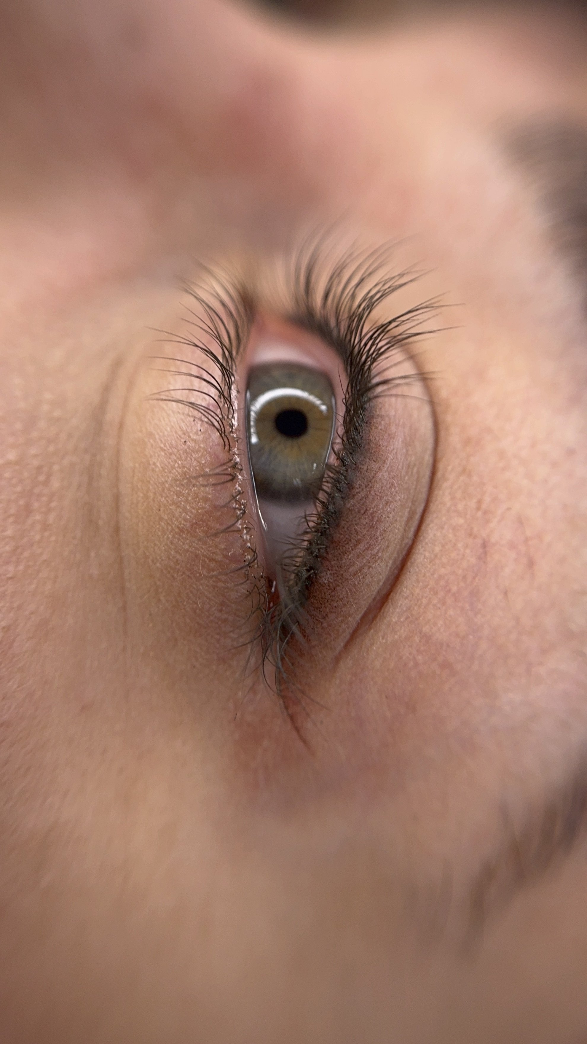 Close-up of a human eye with long eyelashes, light skin, and hazel iris. classic eyeliner tattoo