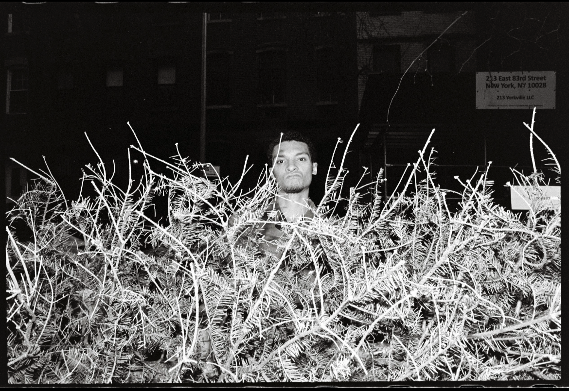 A young man standing behind dense, spiky bushes at night in an urban area with a building and street sign in the background.