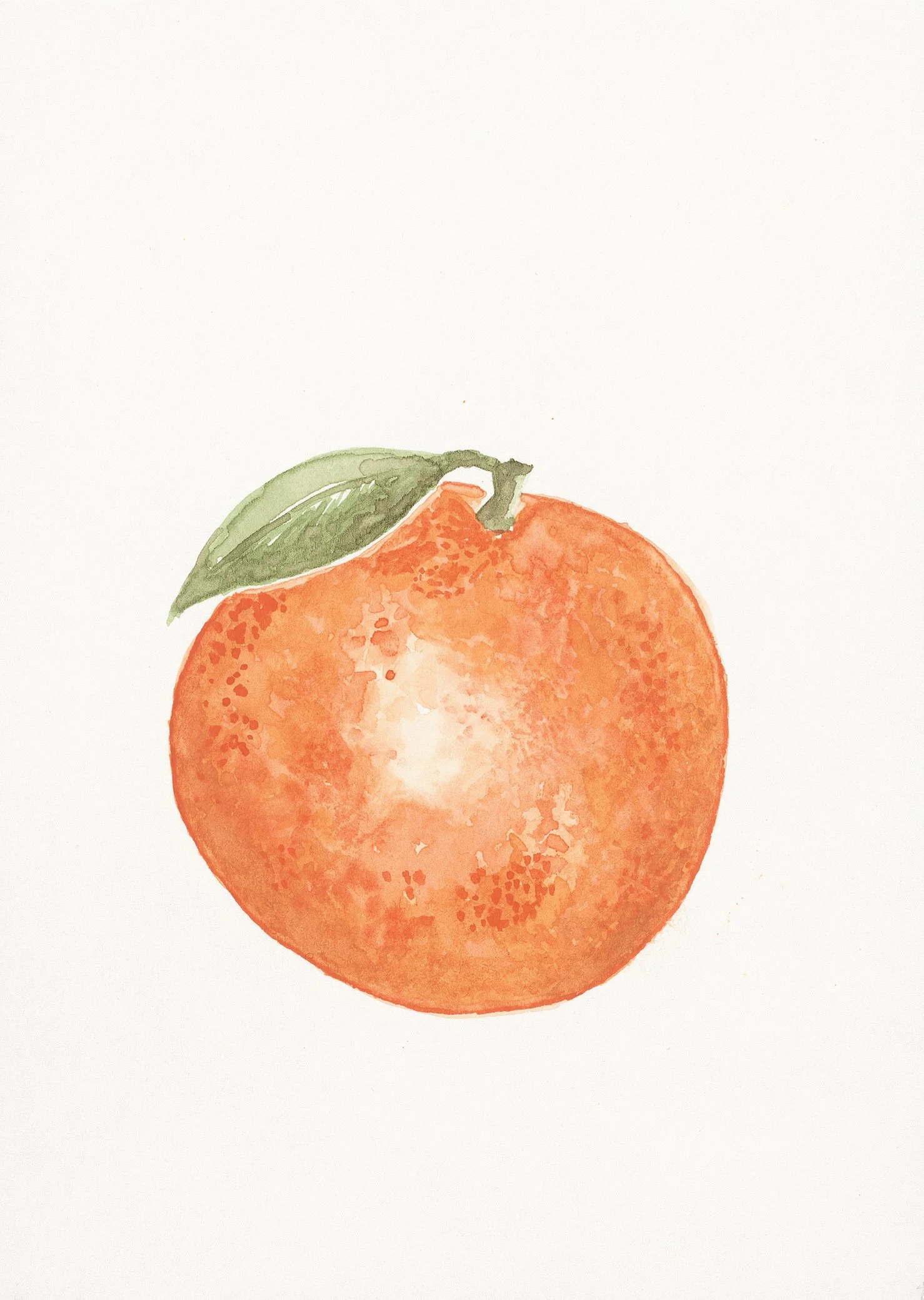26662 Jess Bentley - Orange.jpg
